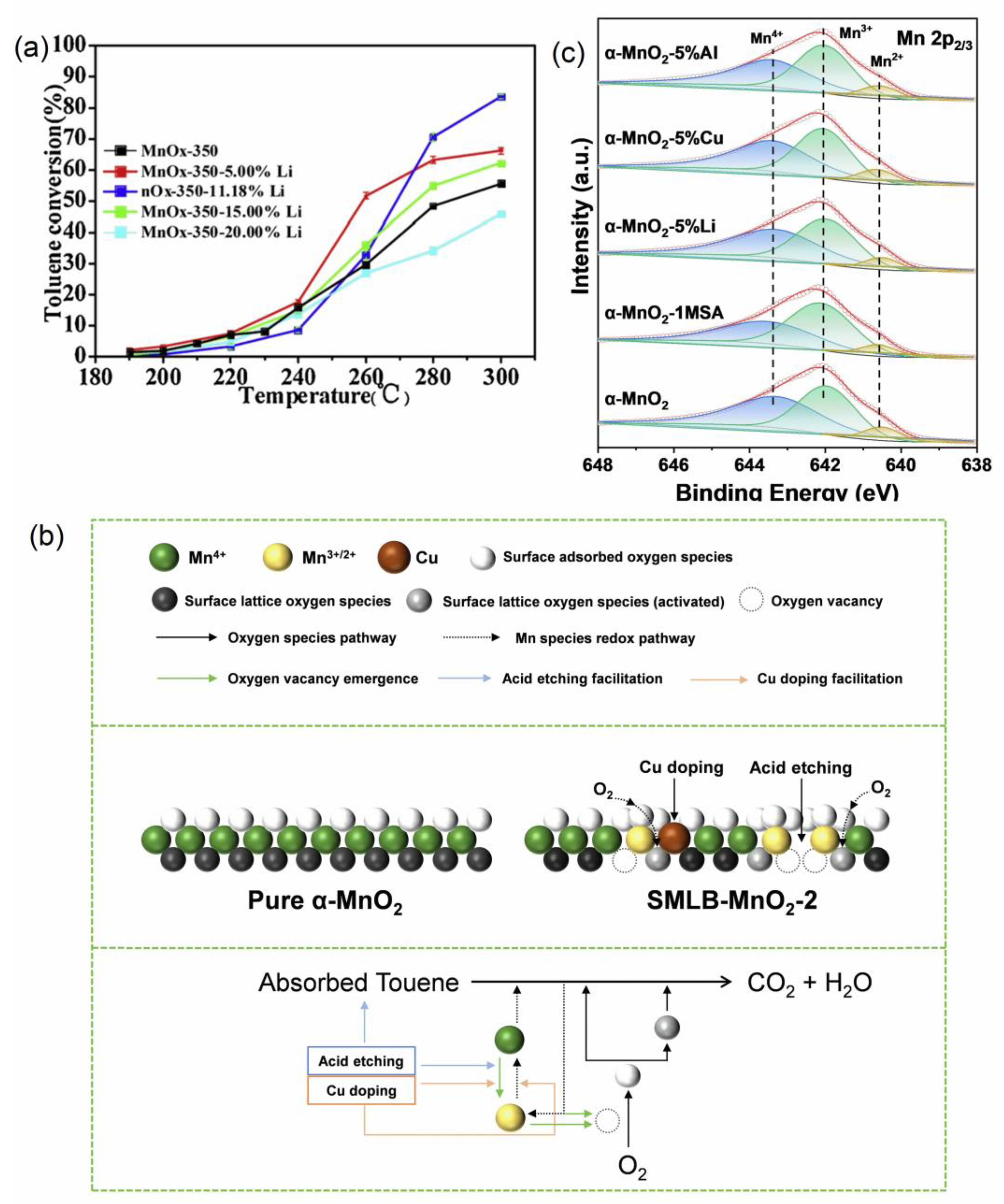 Catalysts 13 00189 g007