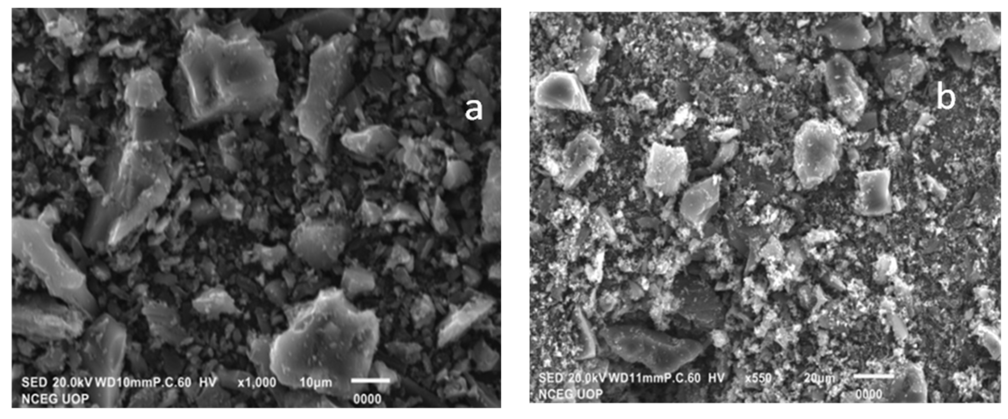 Catalysts 13 00193 g002