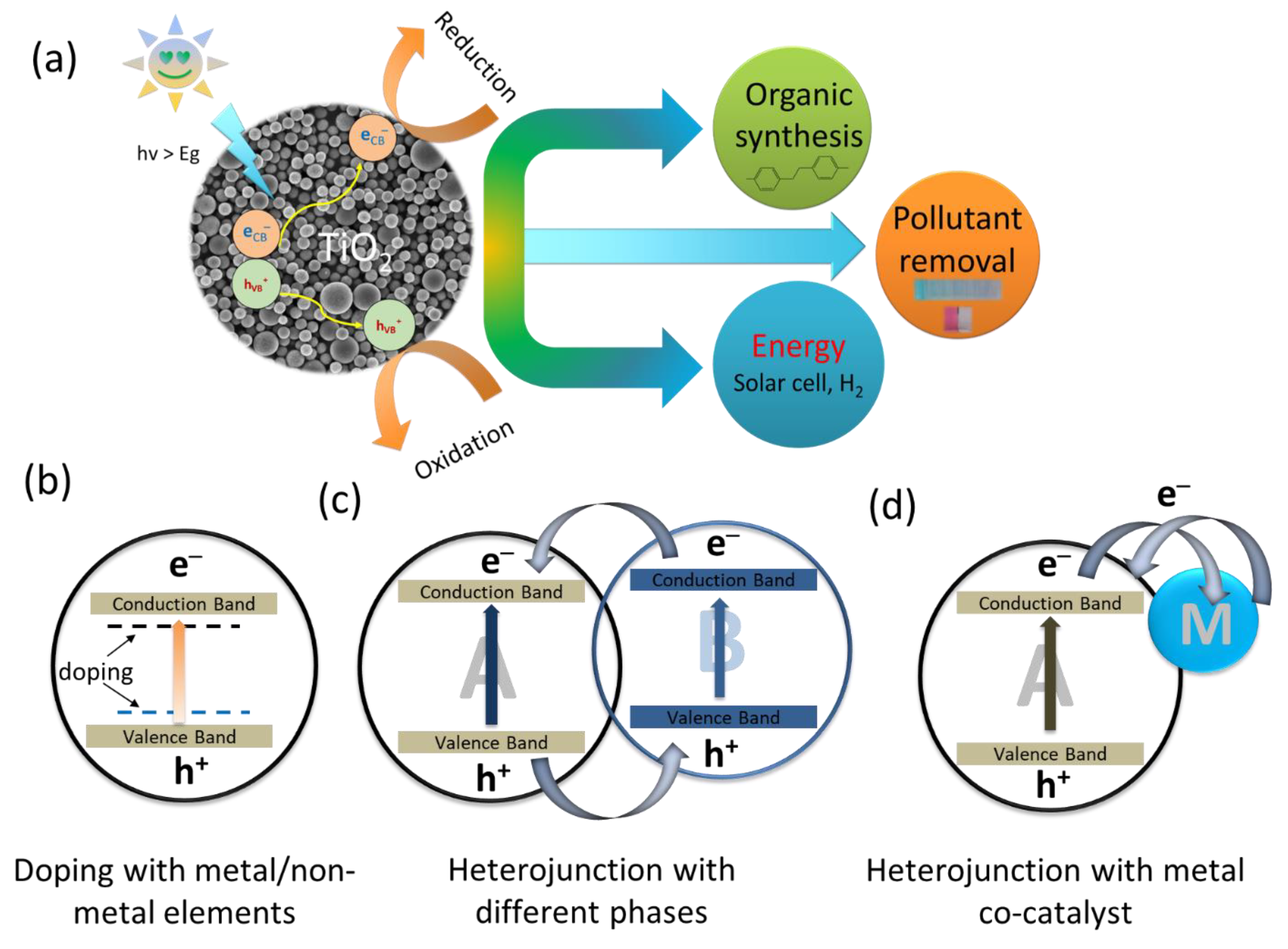 Catalysts 13 00196 g001 Catalysts 13 00196 g001
