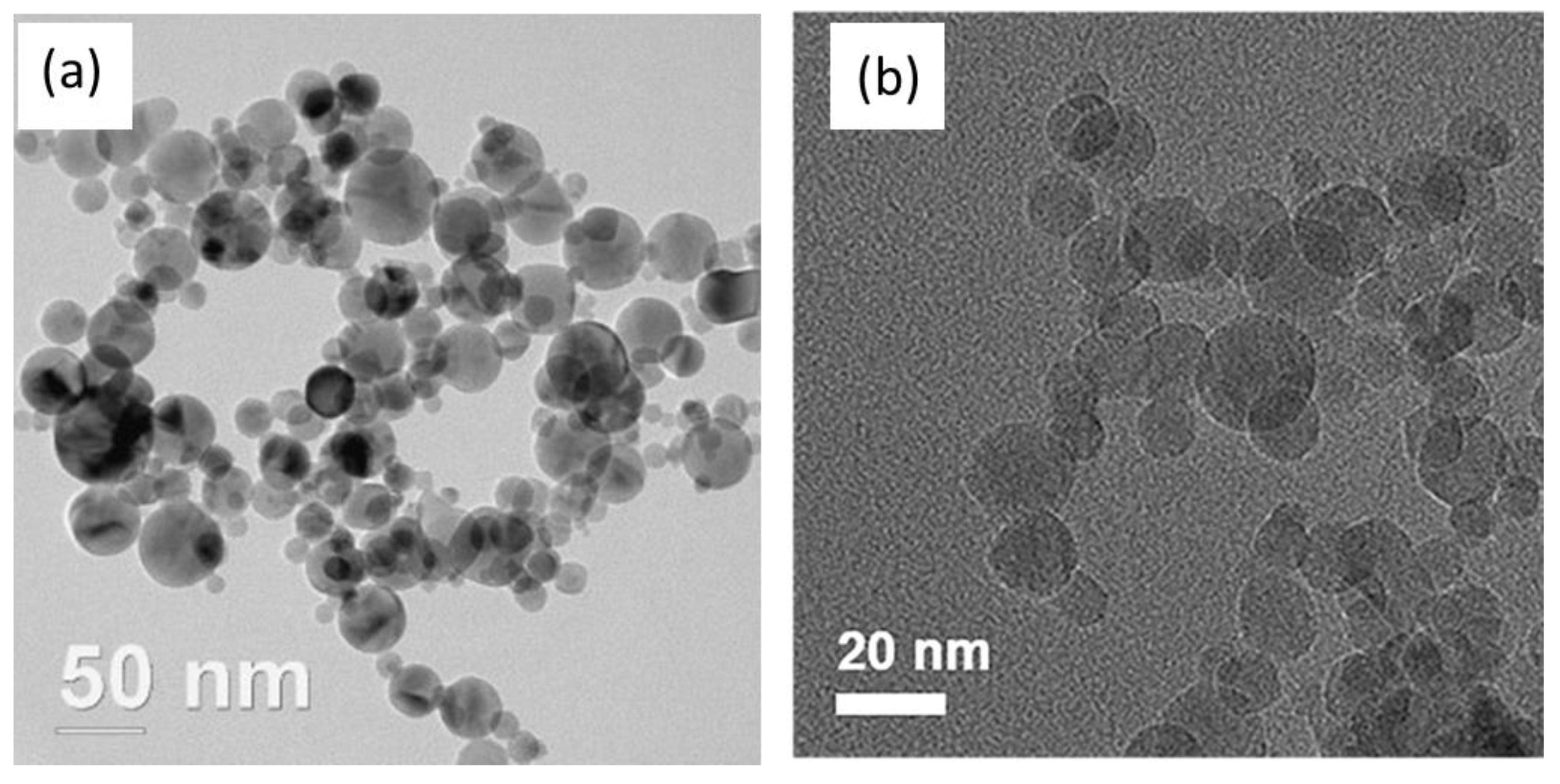 Catalysts 13 00196 g003 Catalysts 13 00196 g003