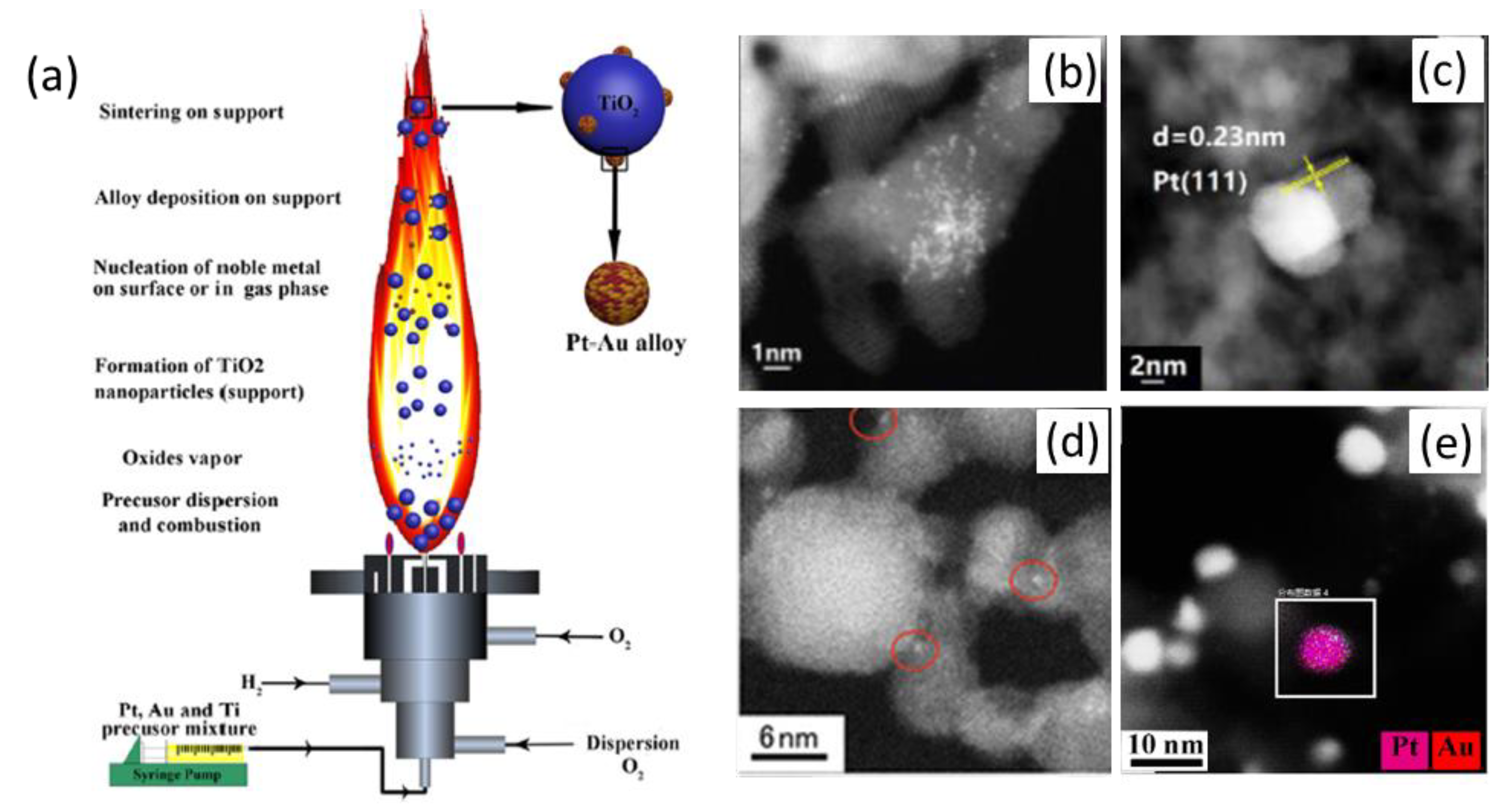 Catalysts 13 00196 g007 Catalysts 13 00196 g007