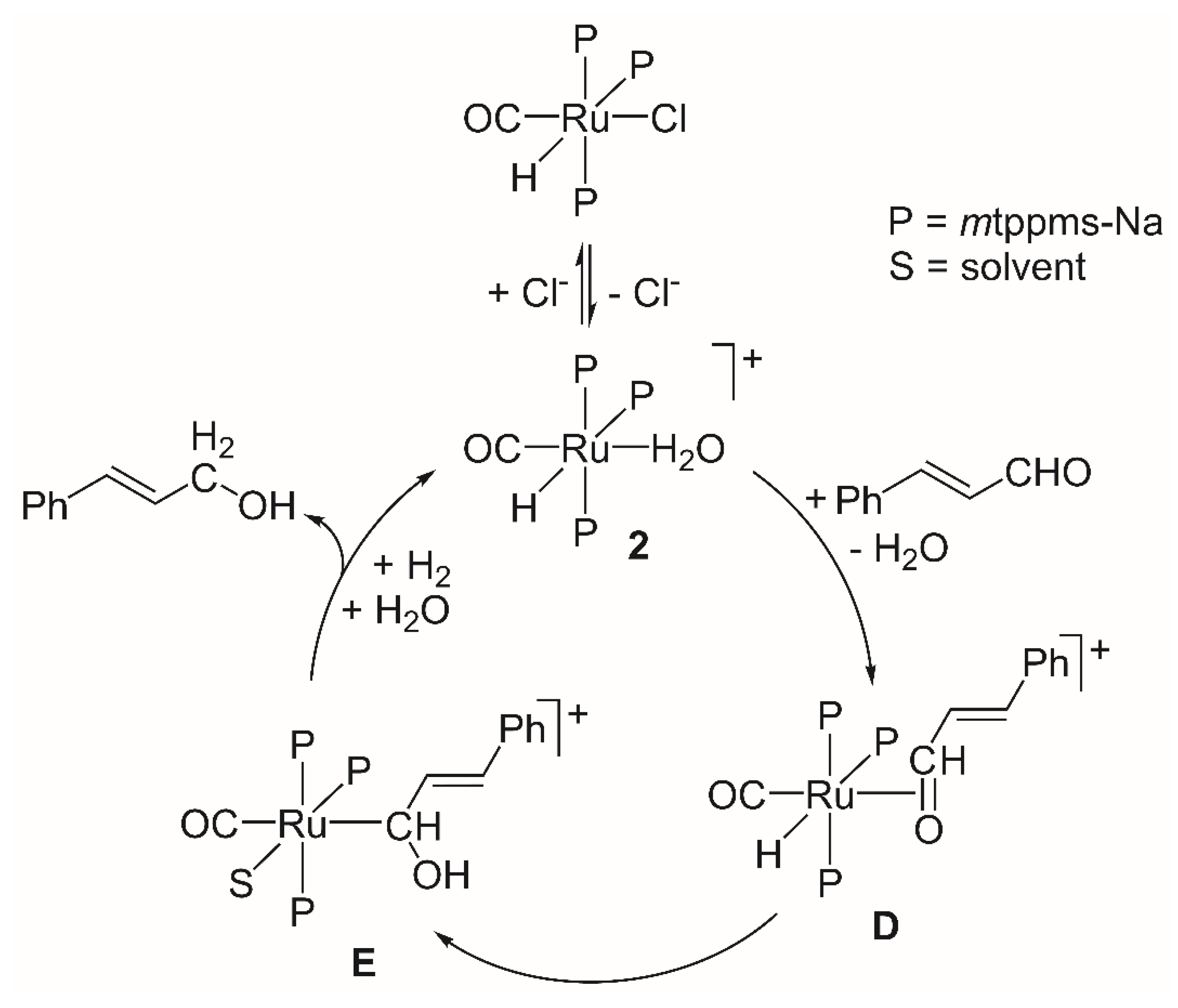 Catalysts 13 00197 g012
