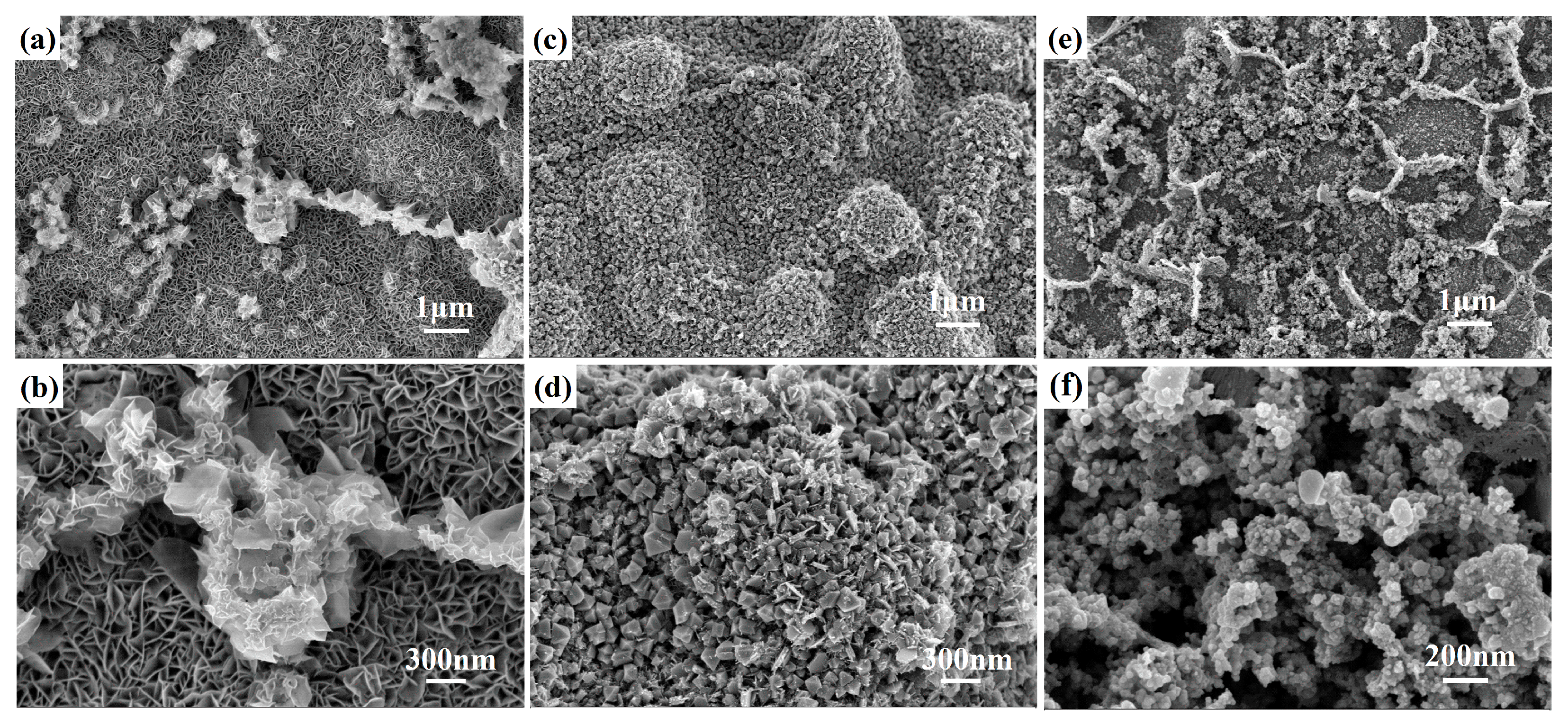Catalysts 13 00198 g002 Catalysts 13 00198 g002