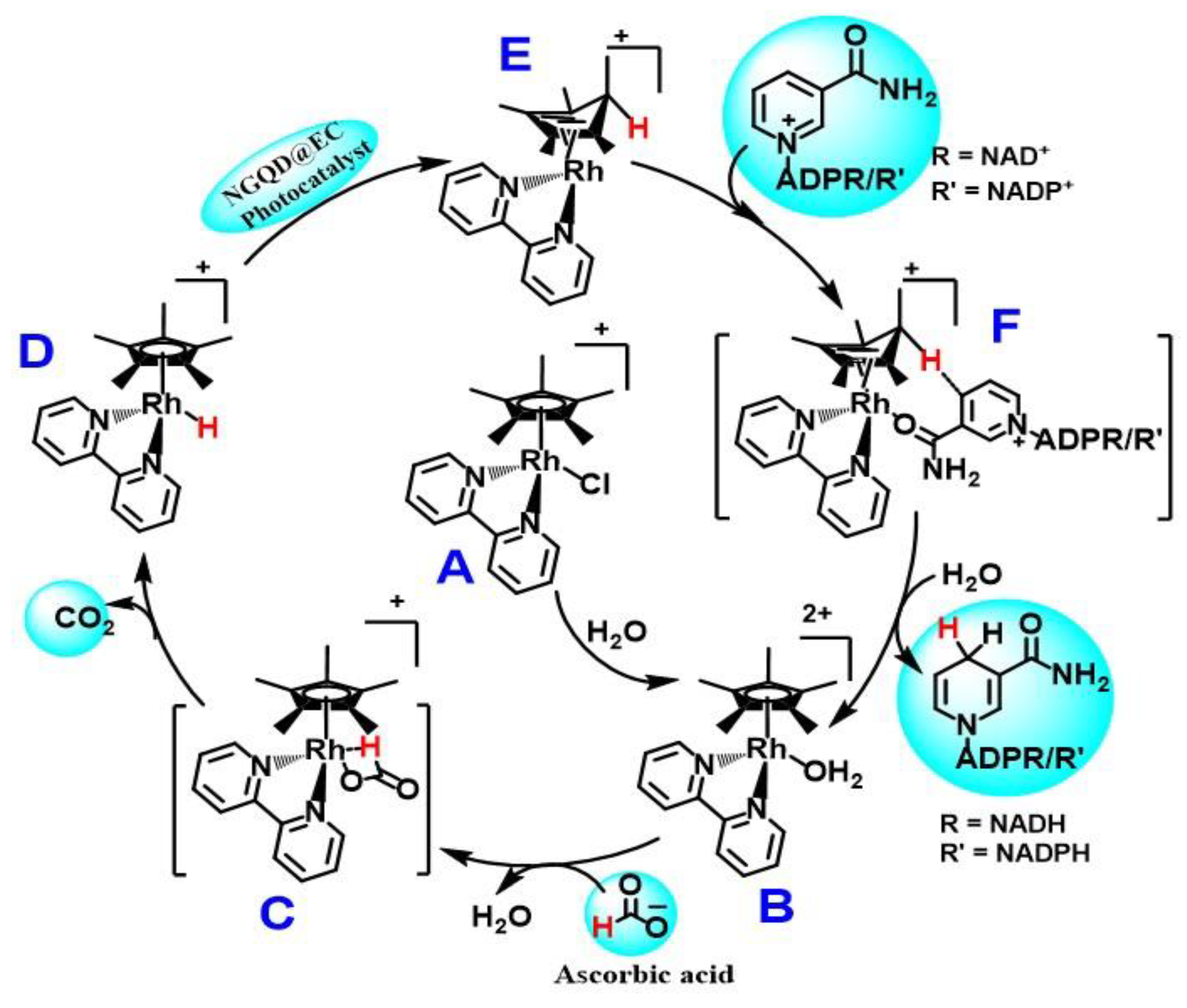 Catalysts 13 00199 sch003