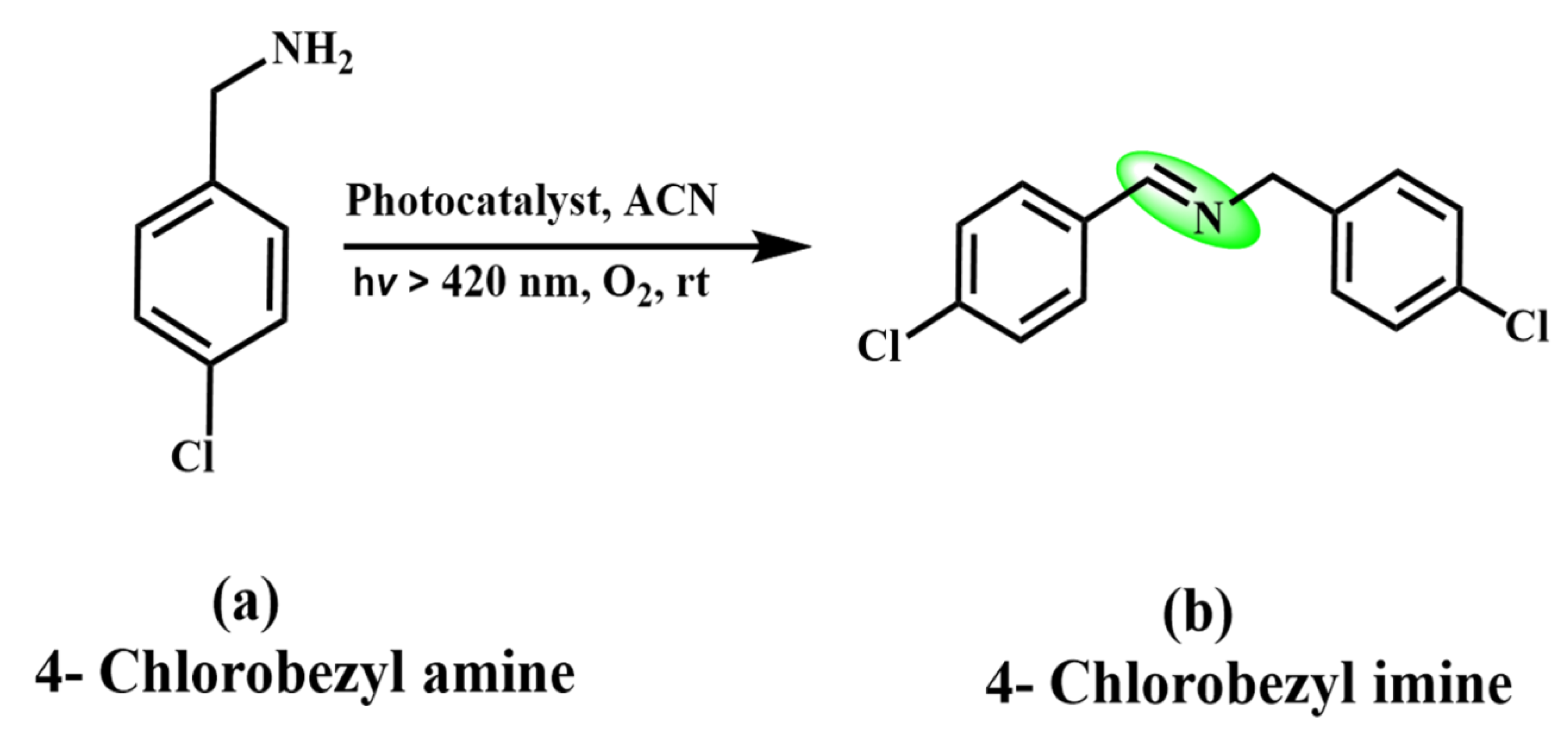 Catalysts 13 00199 sch005