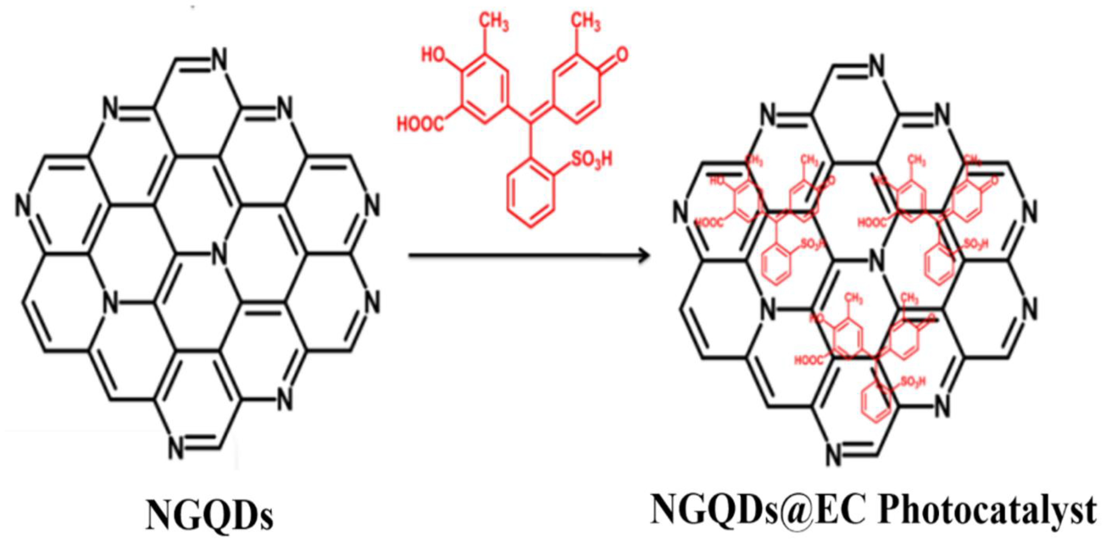 Catalysts 13 00199 sch008
