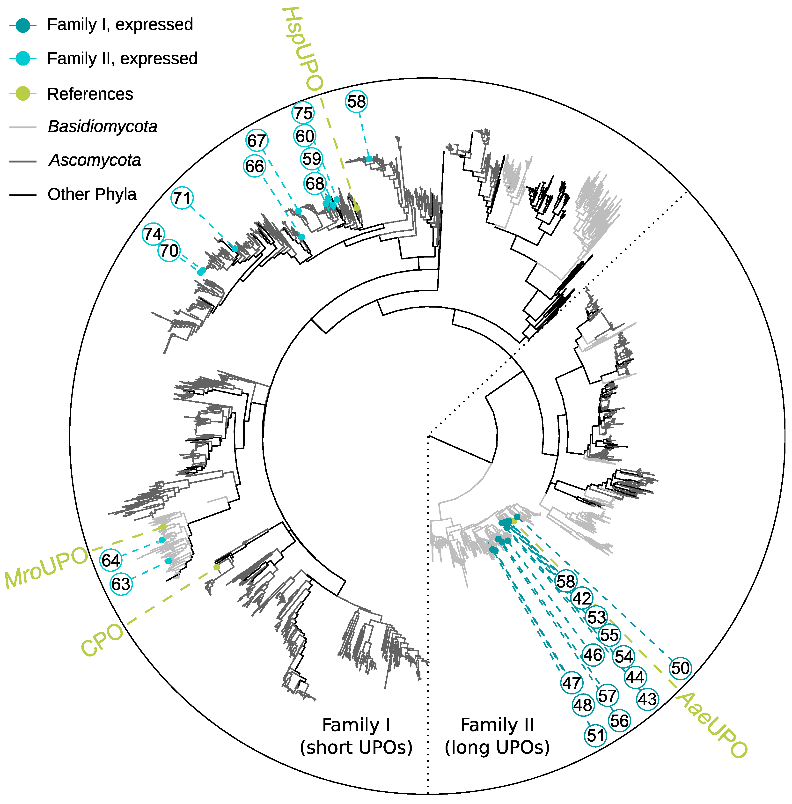 Catalysts 13 00206 g001 Catalysts 13 00206 g001