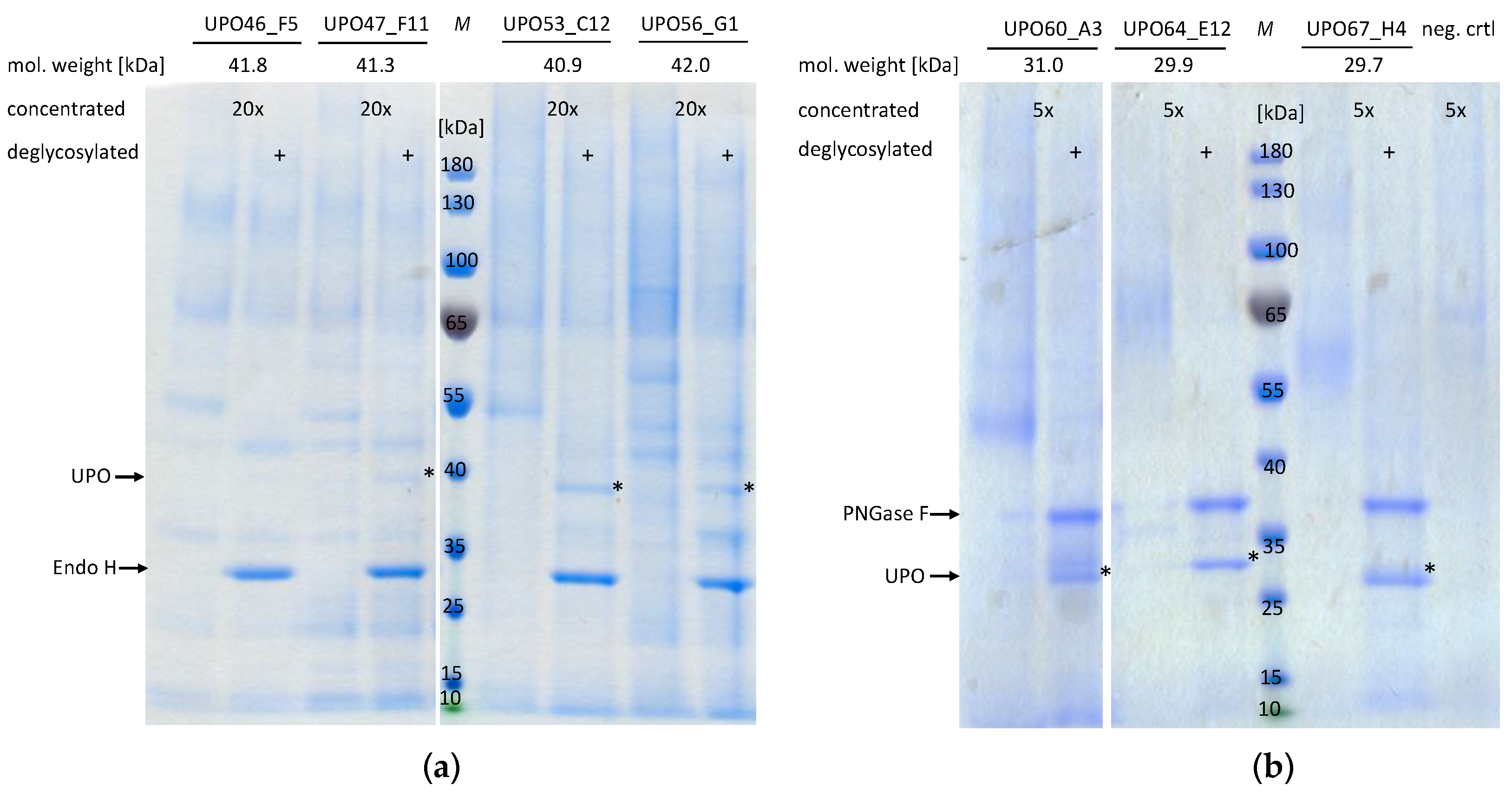 Catalysts 13 00206 g004 Catalysts 13 00206 g004