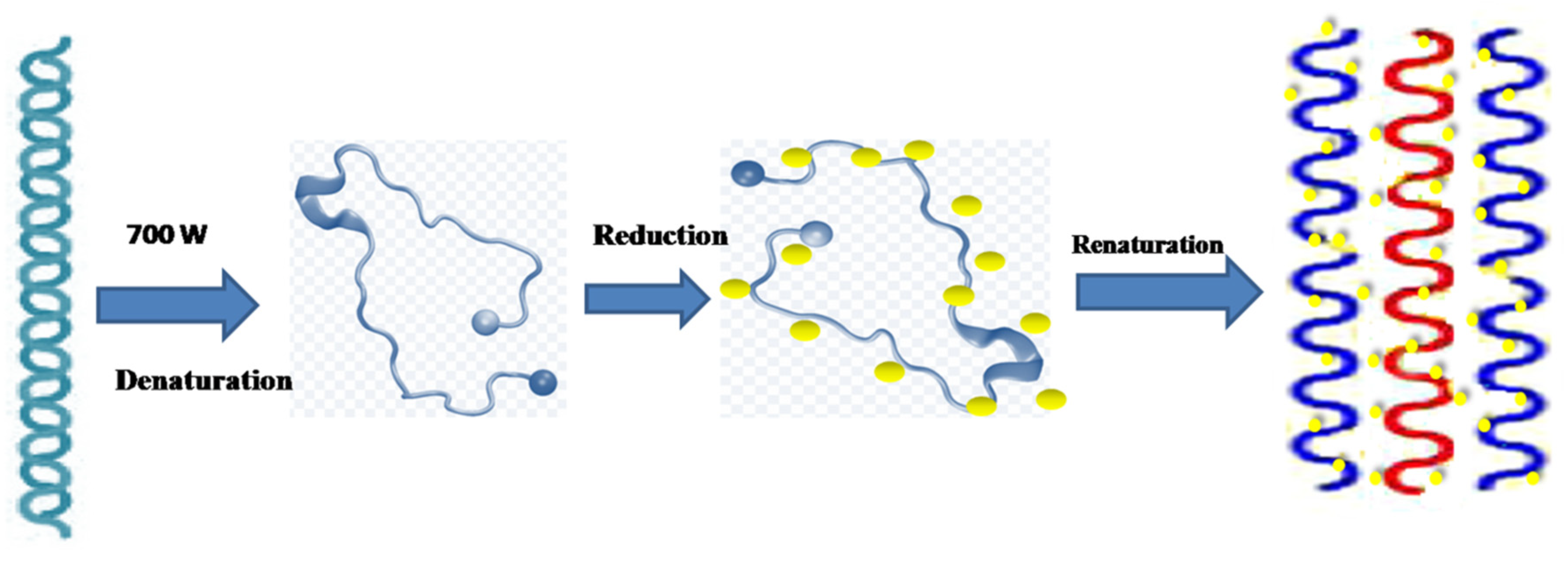 Catalysts 13 00208 g006