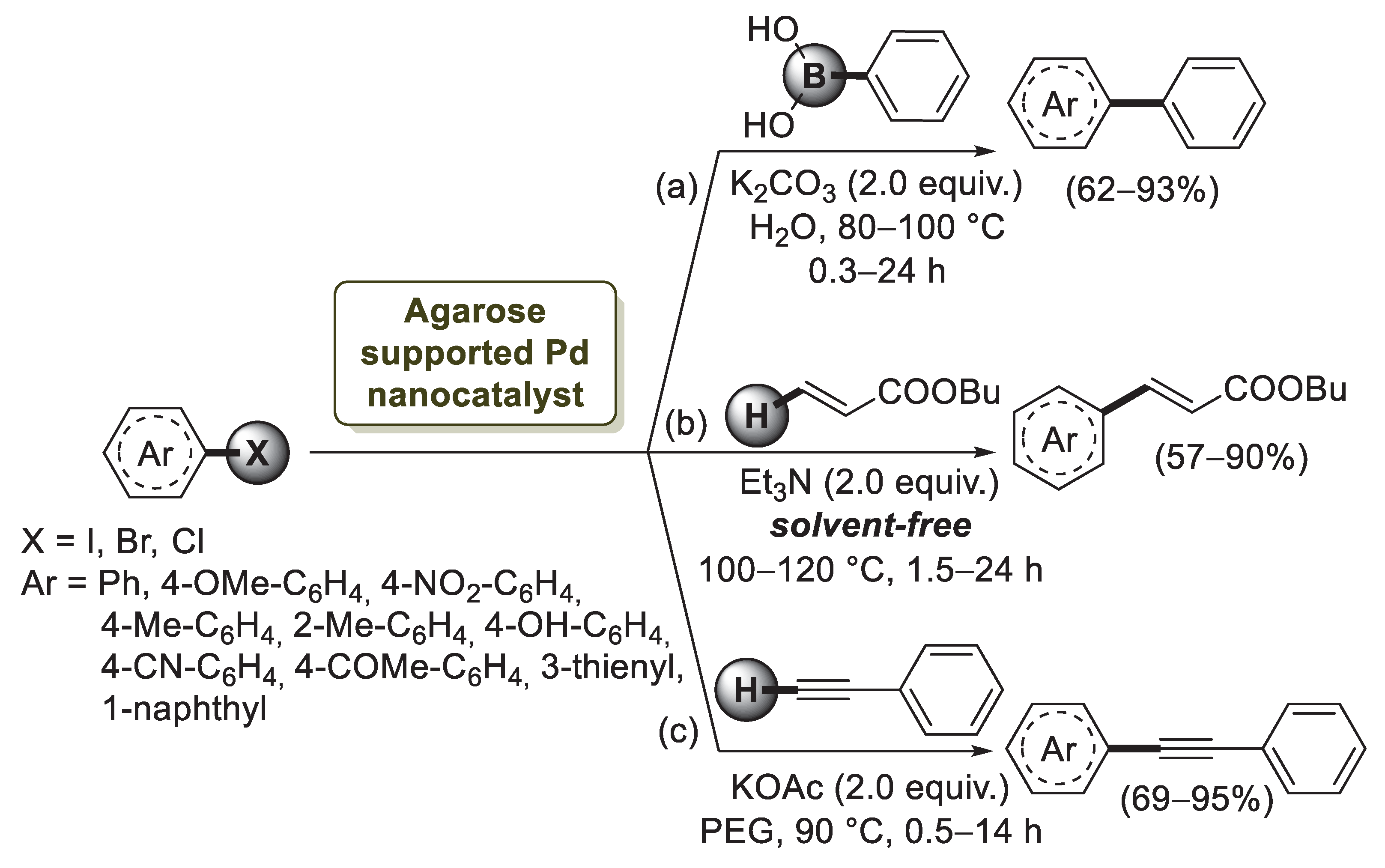 Catalysts 13 00210 sch016