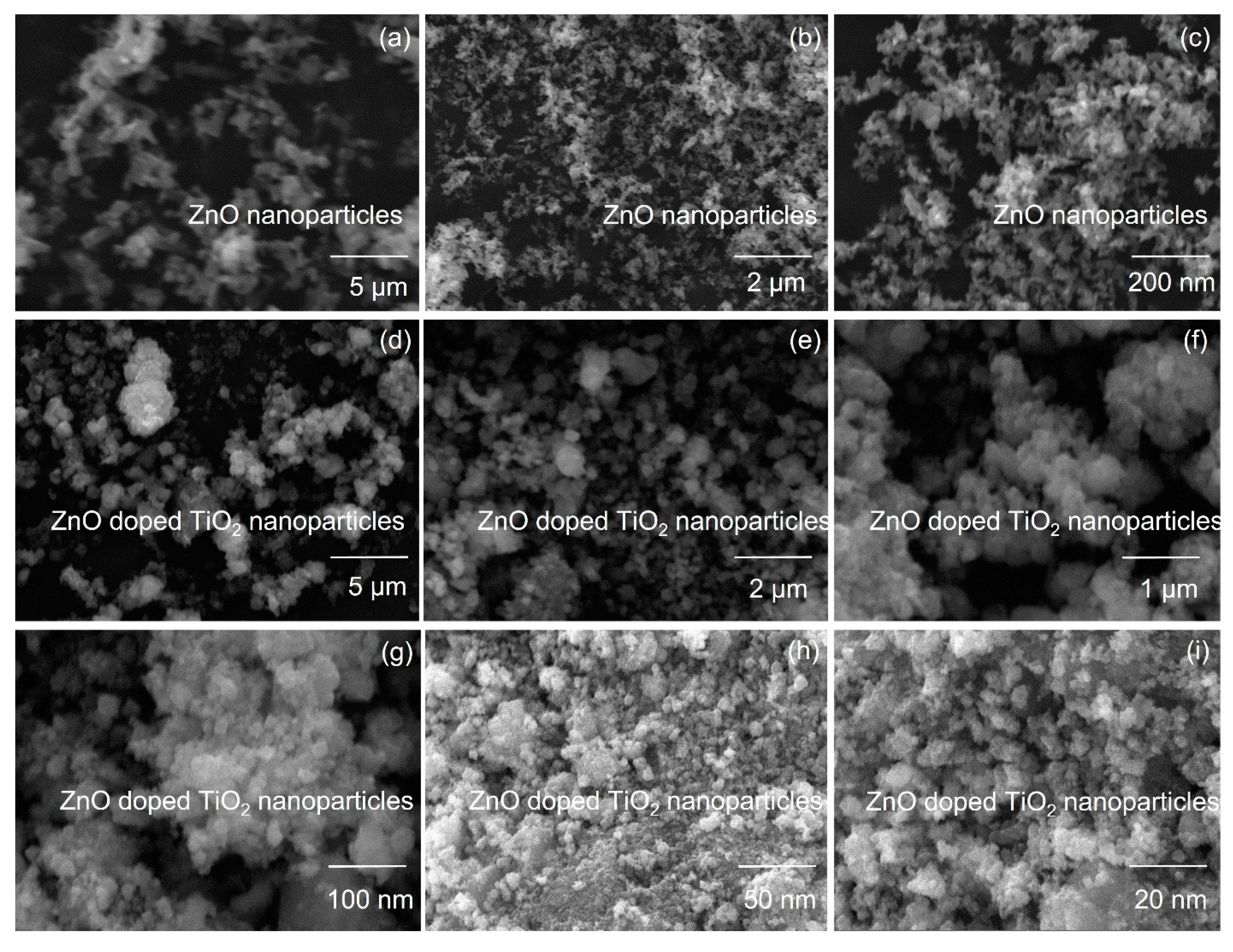 Catalysts 13 00215 g002 Catalysts 13 00215 g002