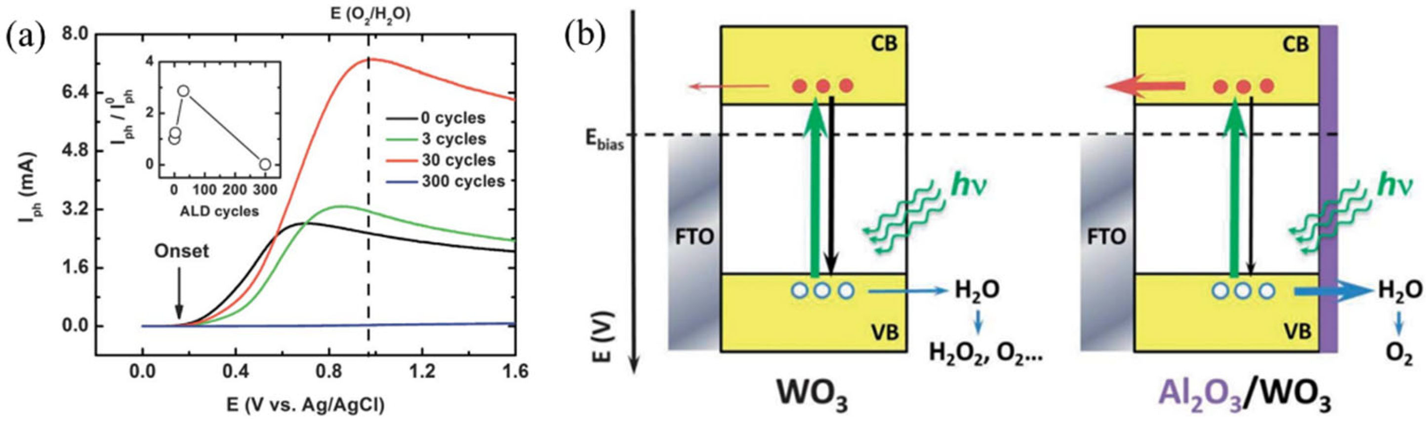 Catalysts 13 00217 g003