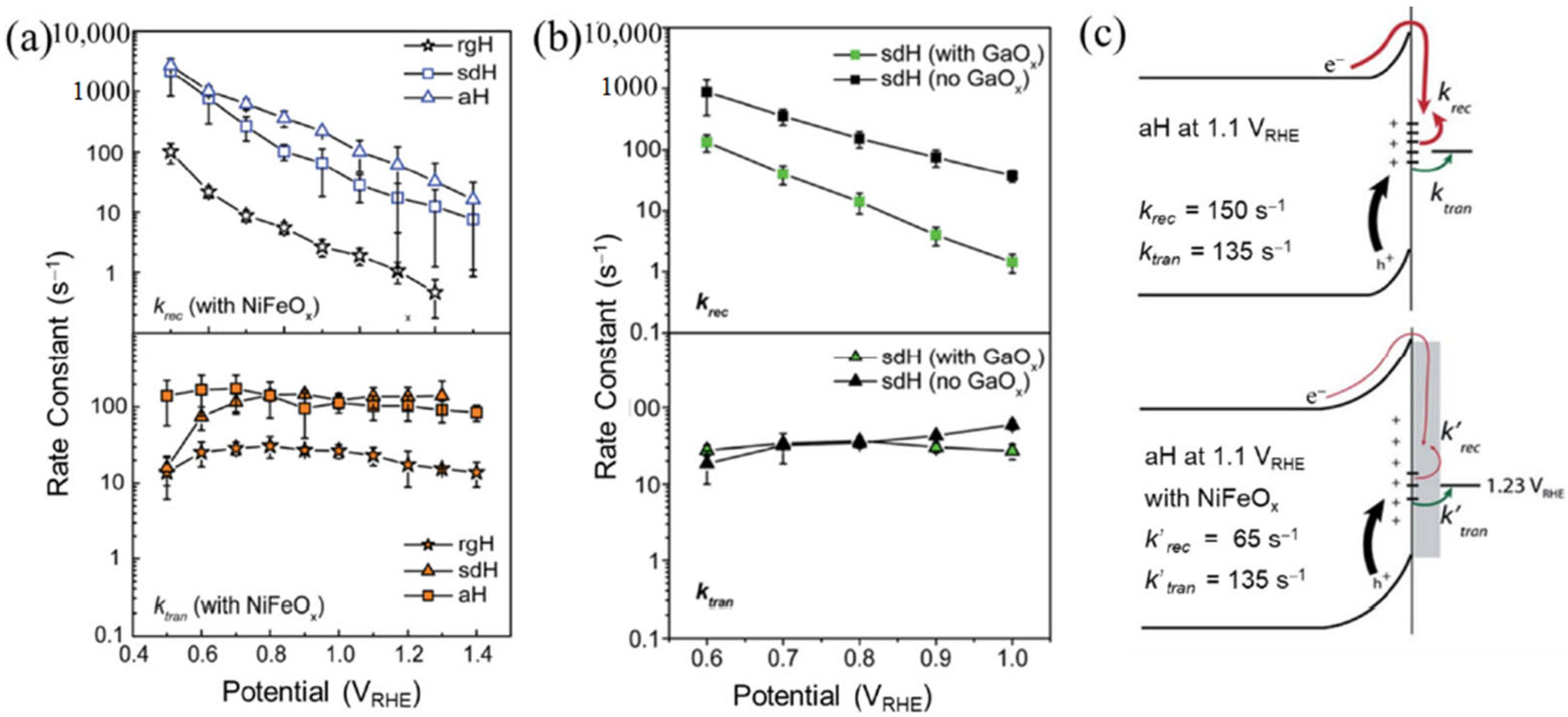 Catalysts 13 00217 g004
