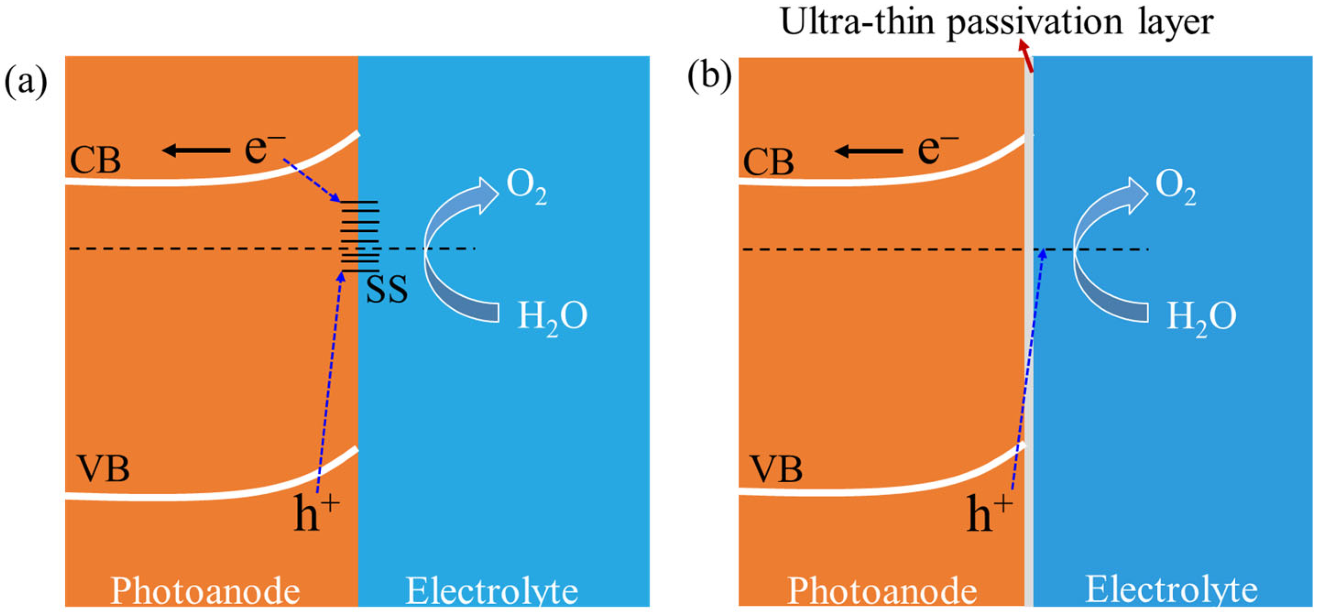 Catalysts Free FullText Surface Passivation Engineering for