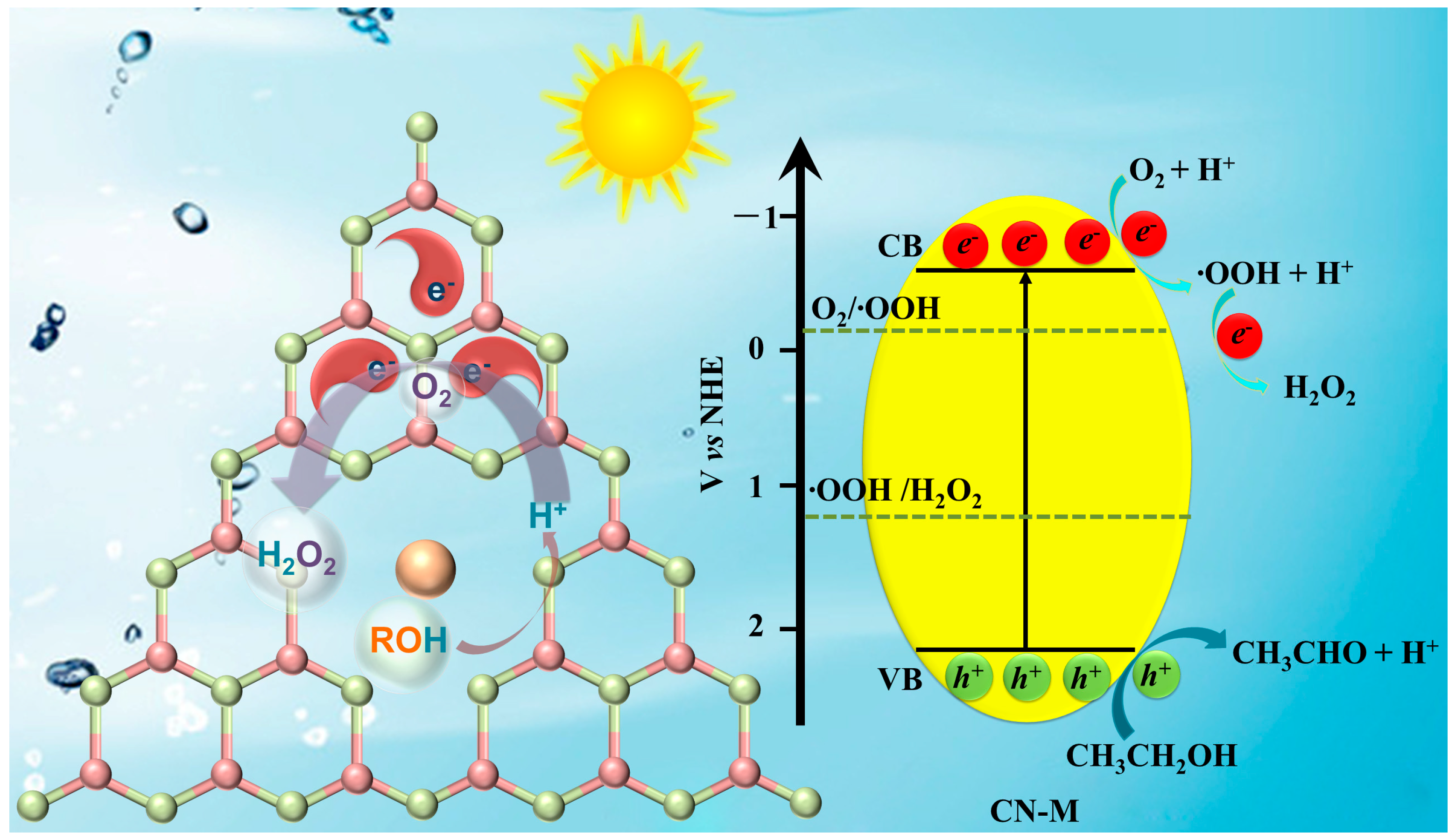 Catalysts 13 00218 sch001