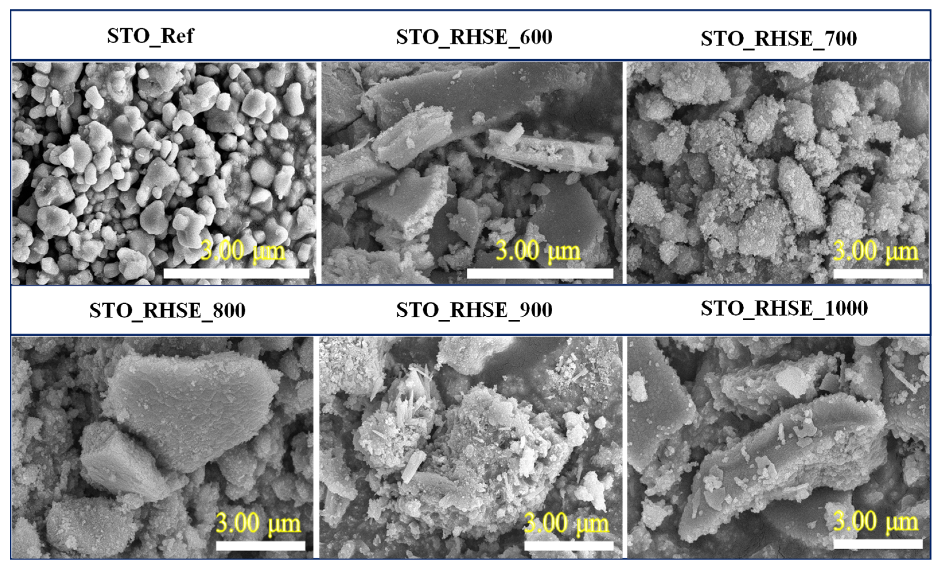 Catalysts 13 00219 g002