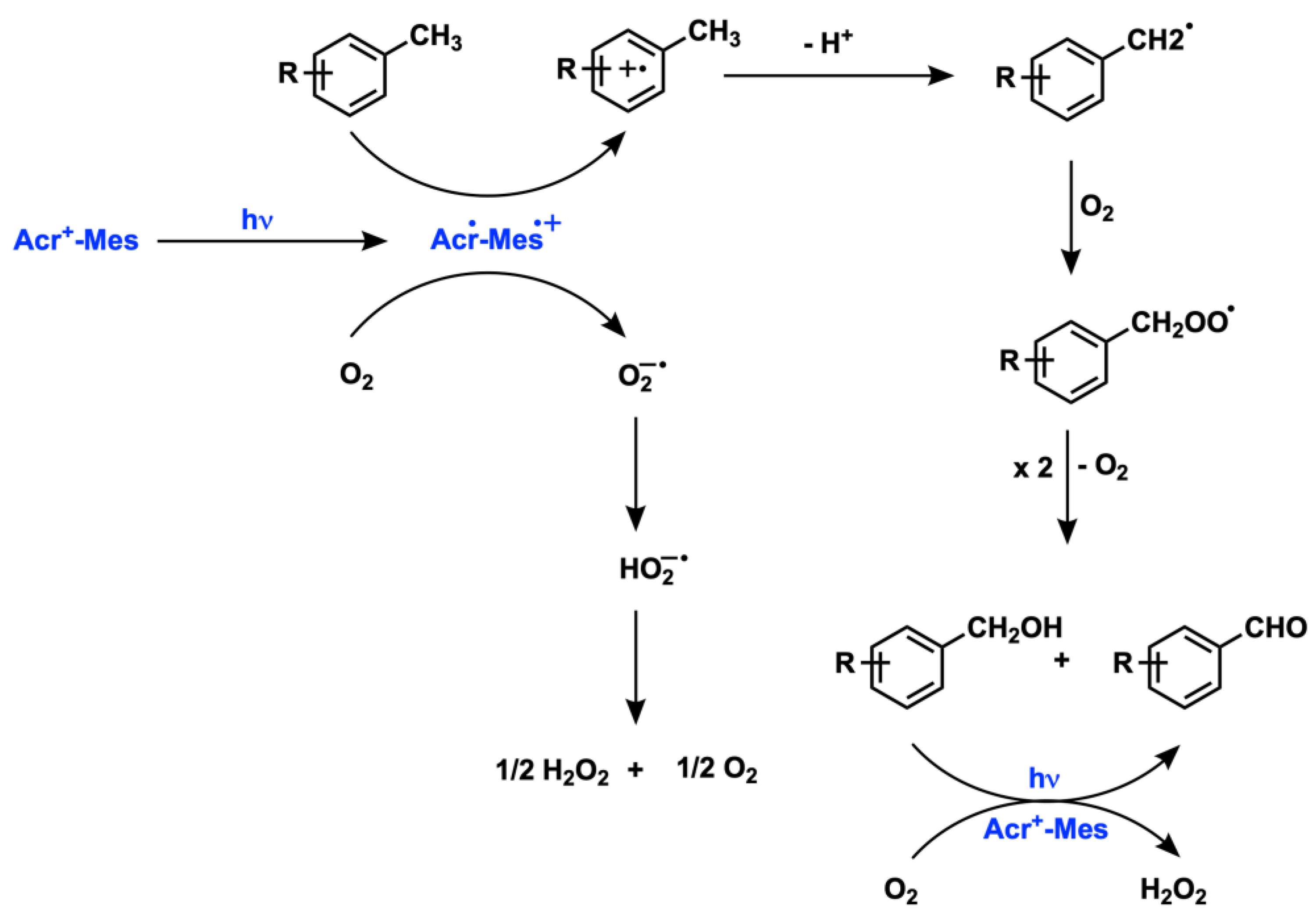 Catalysts 13 00220 sch003 Catalysts 13 00220 sch003