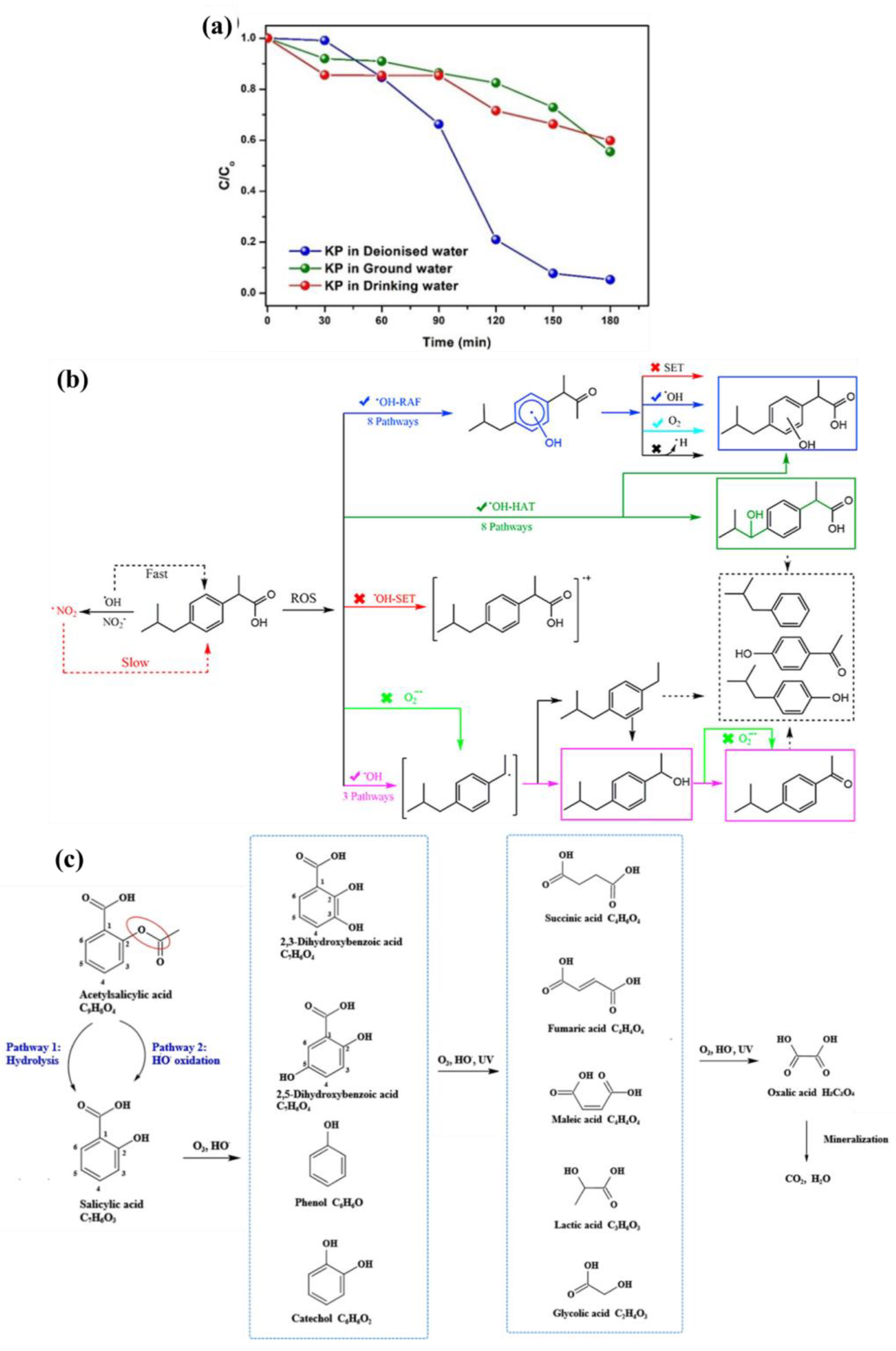 Catalysts 13 00221 g009