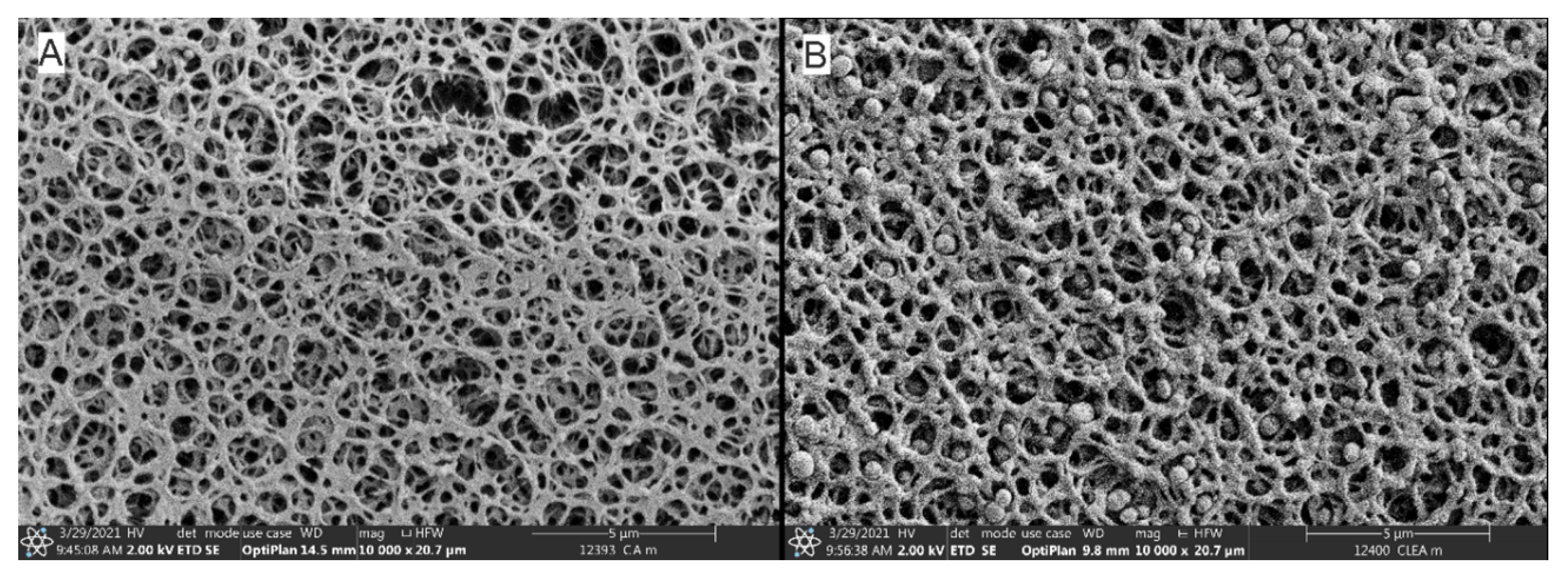 Catalysts 13 00222 g007 Catalysts 13 00222 g007