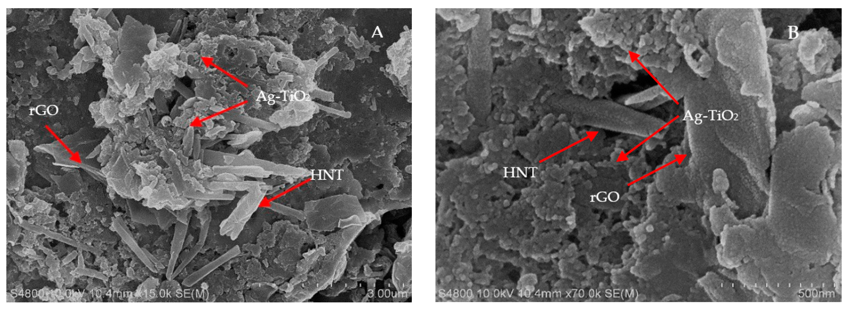 Catalysts 13 00225 g004