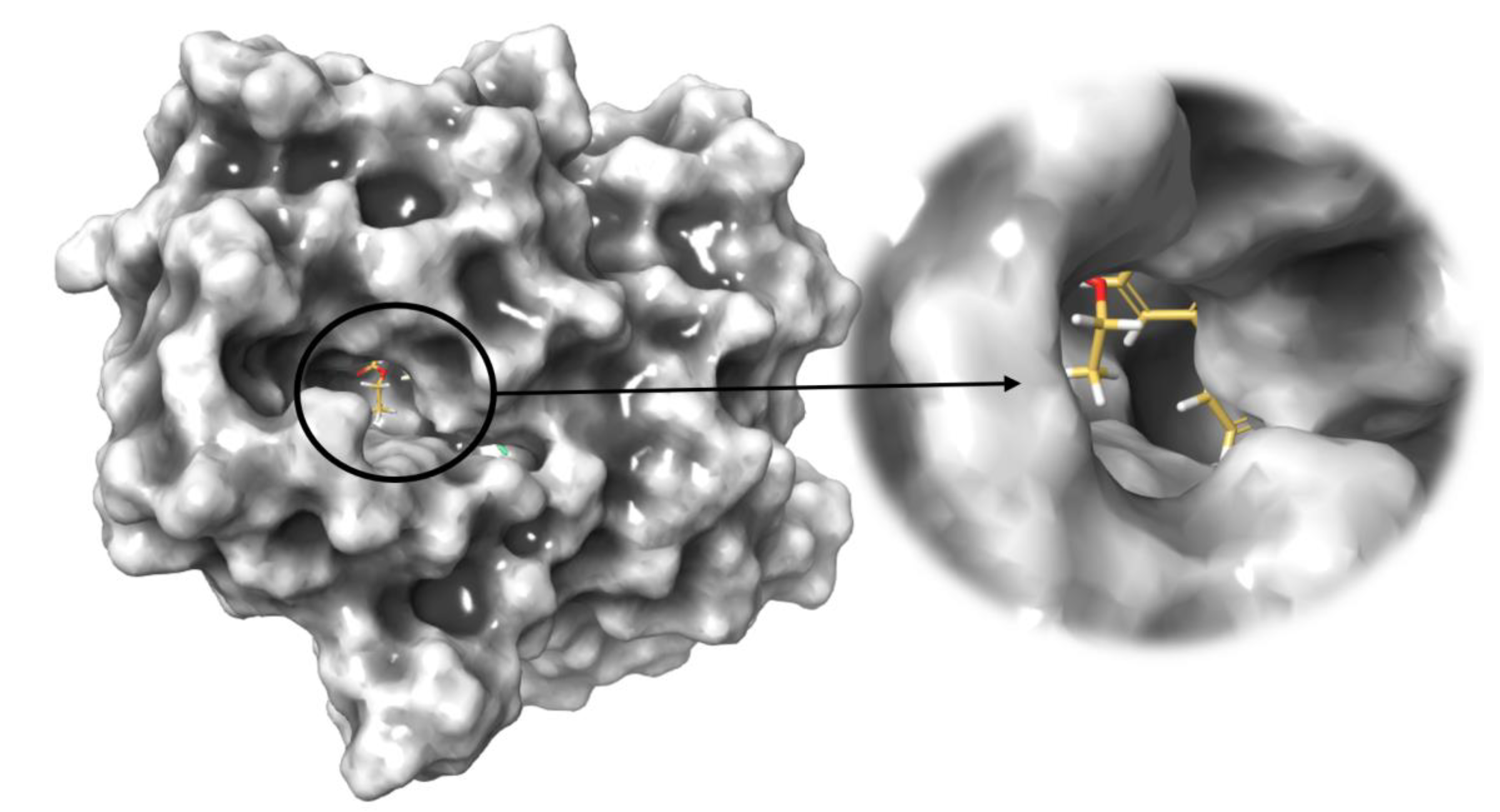 Catalysts 13 00228 g006