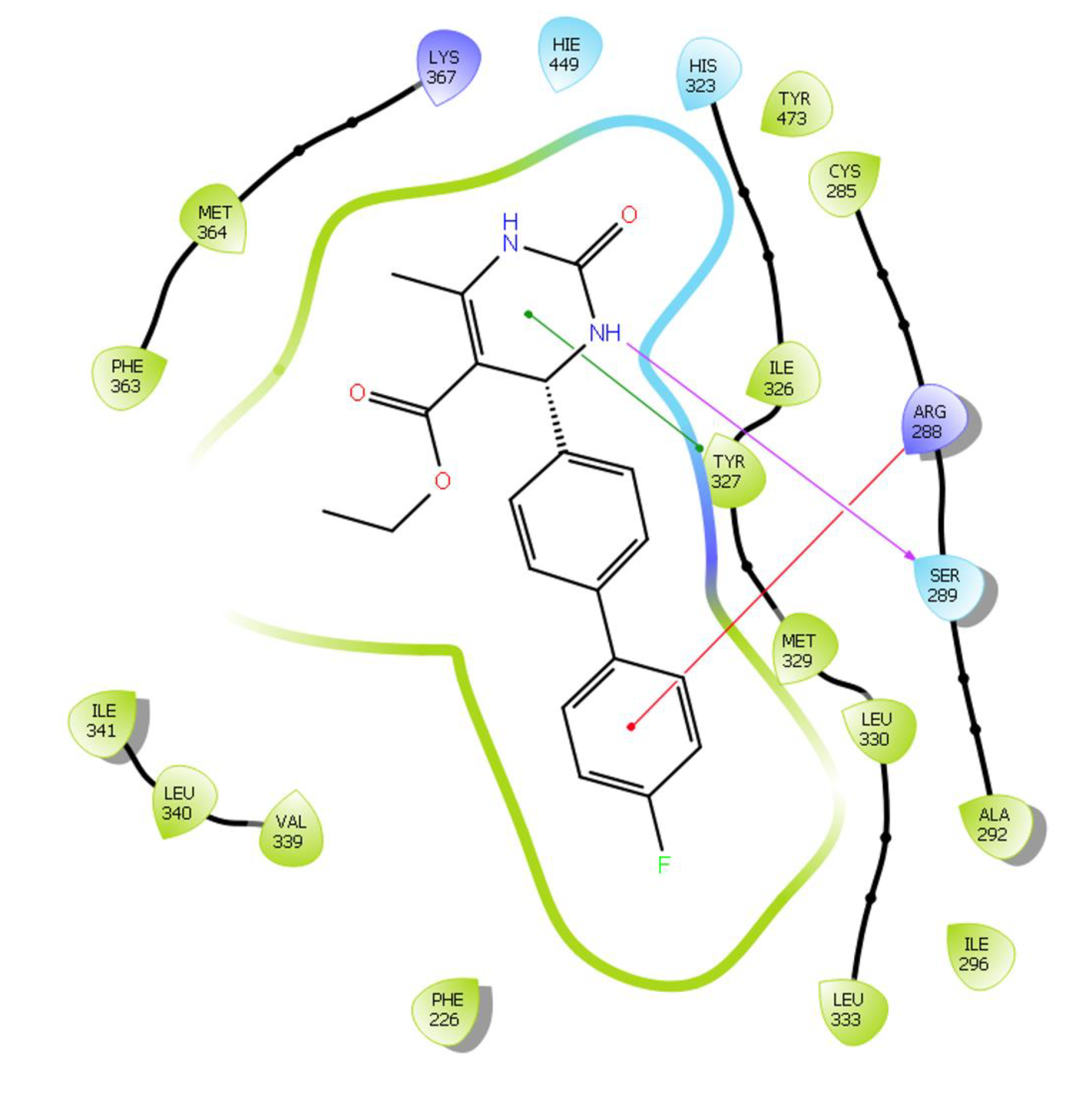 Catalysts 13 00228 g007