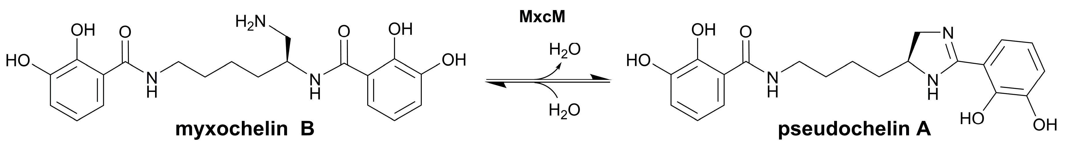 Catalysts 13 00229 g001