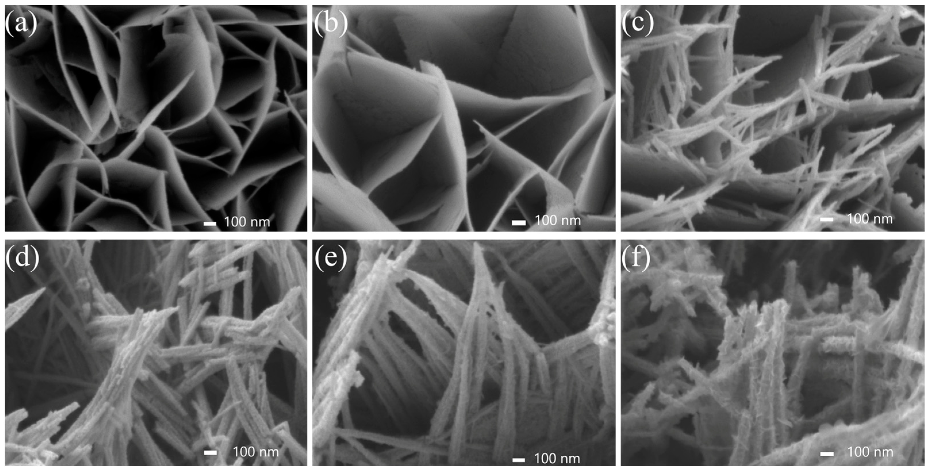 Catalysts 13 00230 g002 Catalysts 13 00230 g002