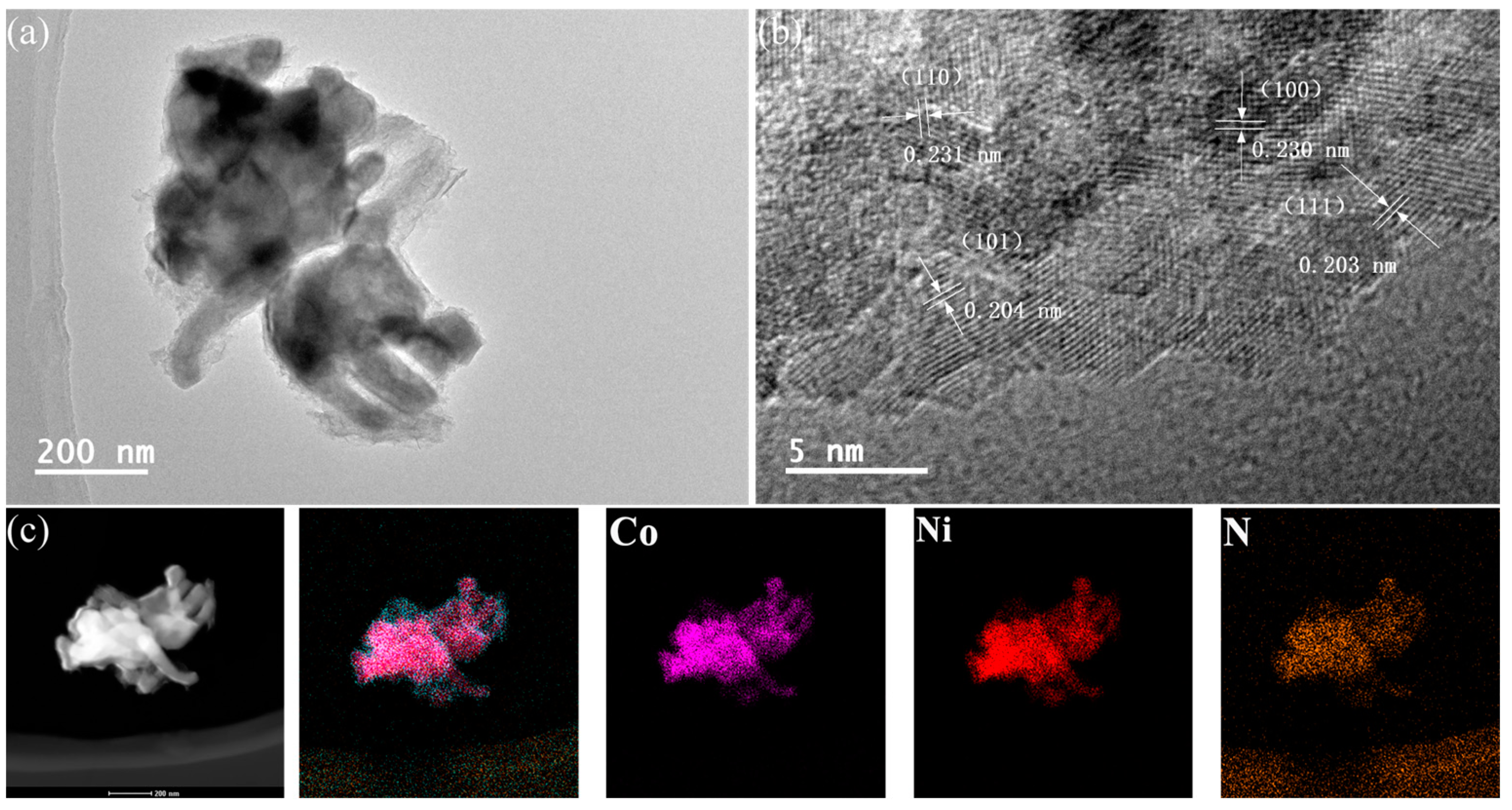 Catalysts 13 00230 g005 Catalysts 13 00230 g005