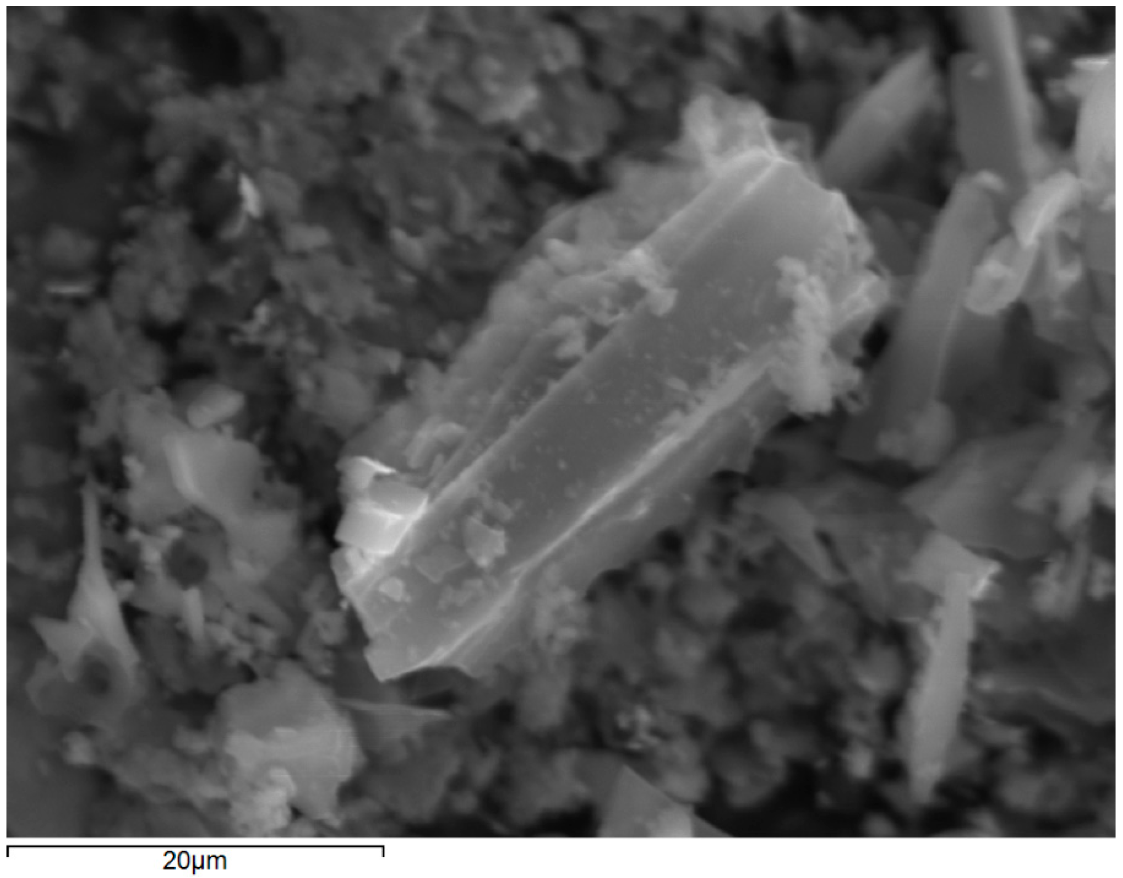 Catalysts 13 00233 g001