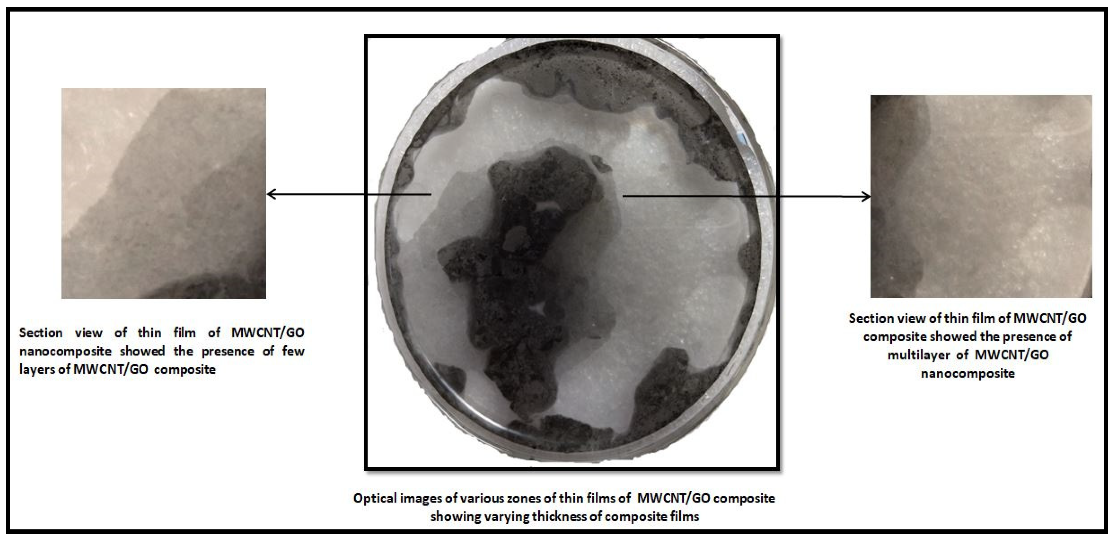 Catalysts 13 00235 g012