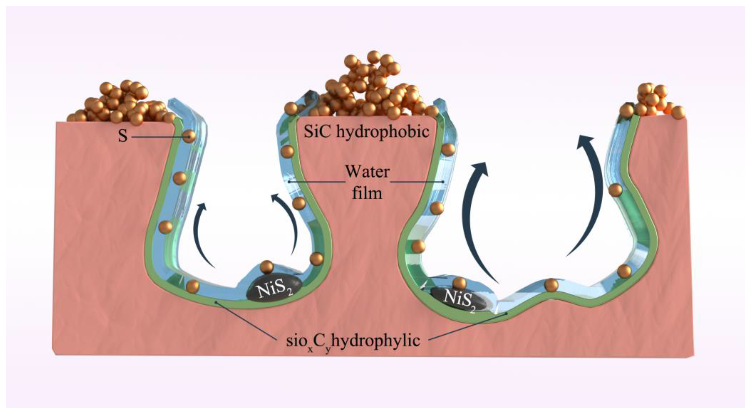Catalysts 13 00236 g004