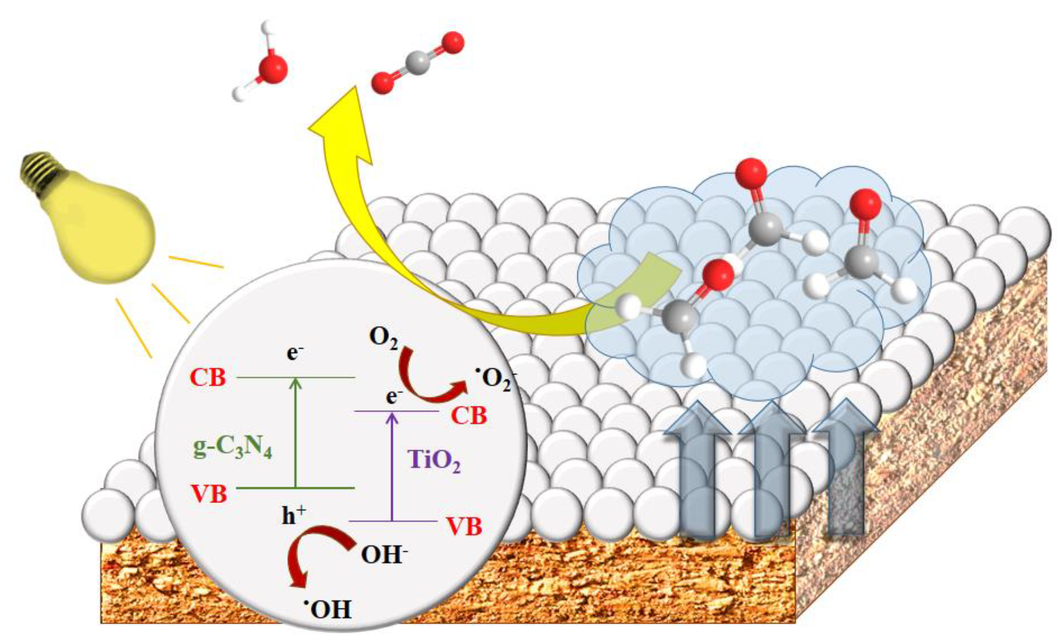 Catalysts 13 00238 g007