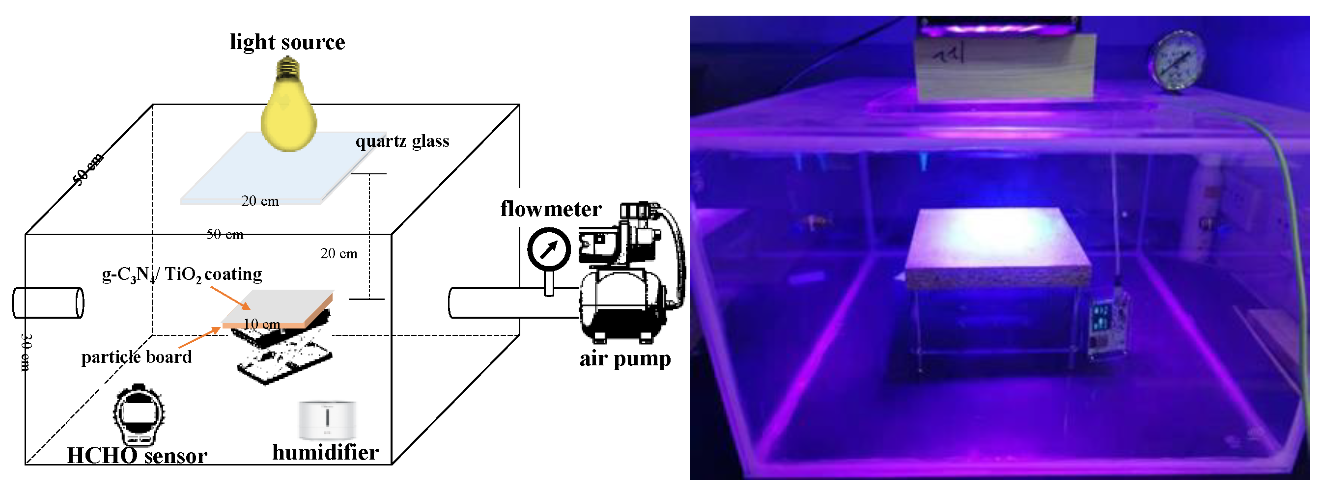 Catalysts 13 00238 g008