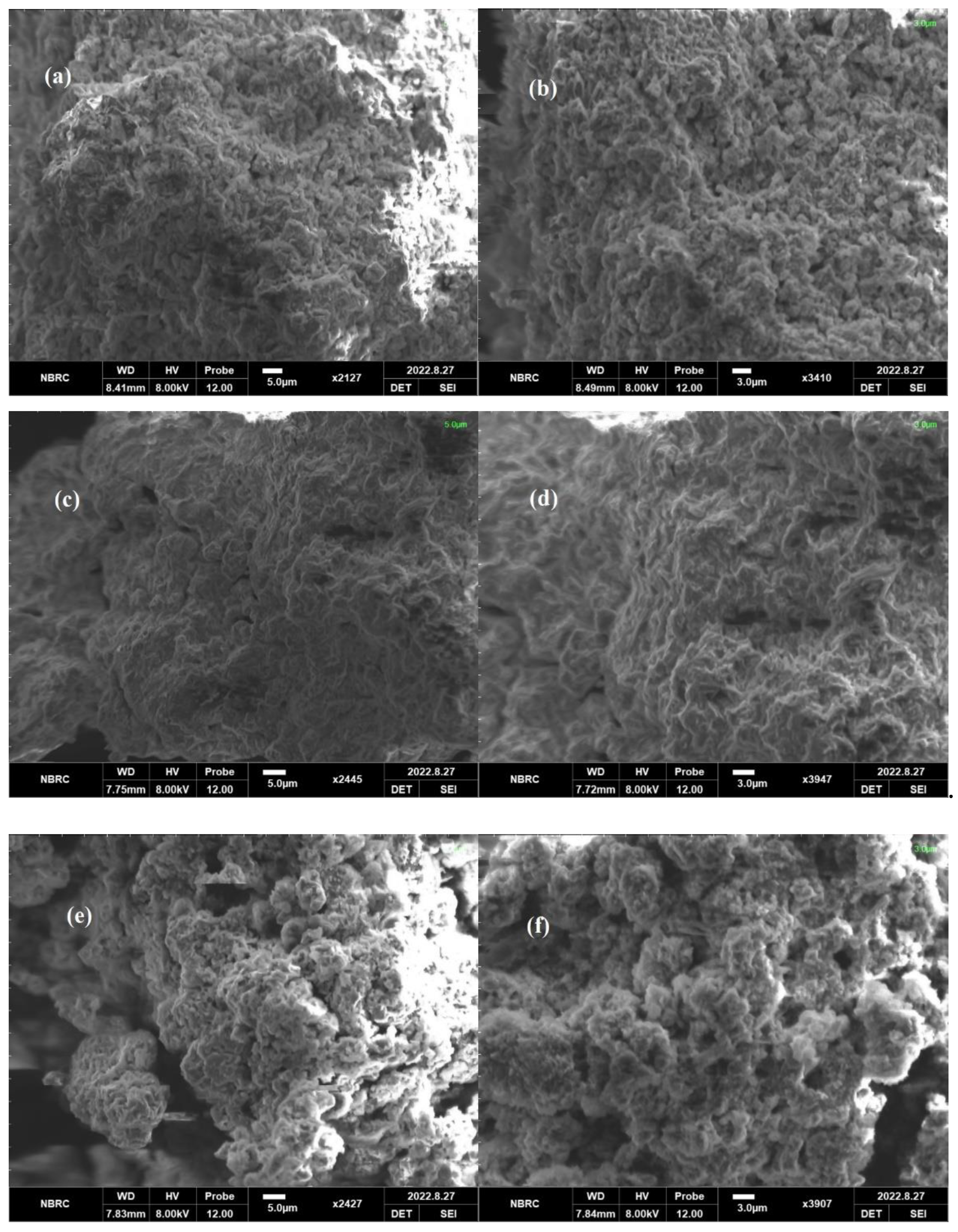 Catalysts 13 00239 g003 Catalysts 13 00239 g003