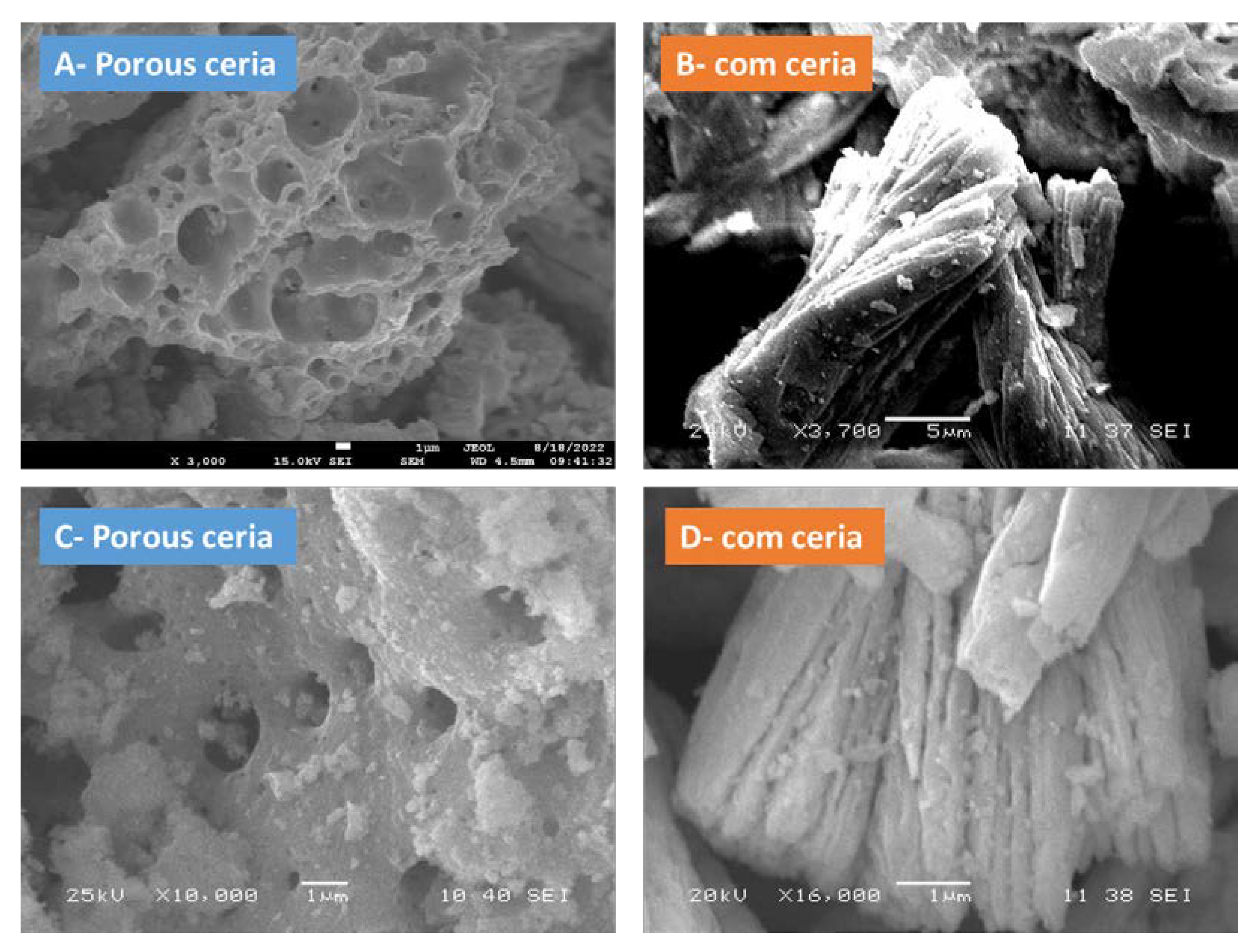 Catalysts 13 00240 g004 Catalysts 13 00240 g004