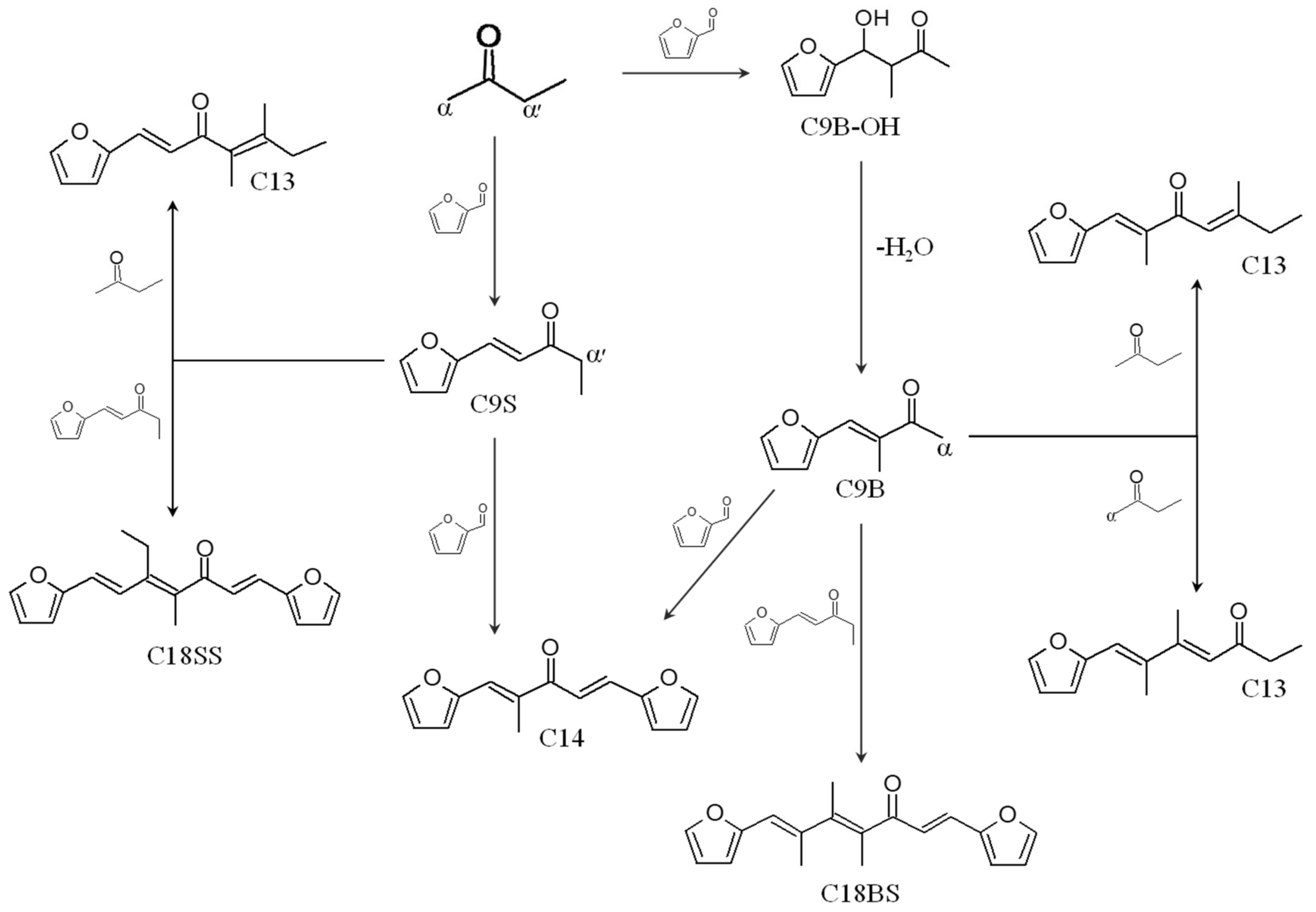 Catalysts 13 00242 sch001