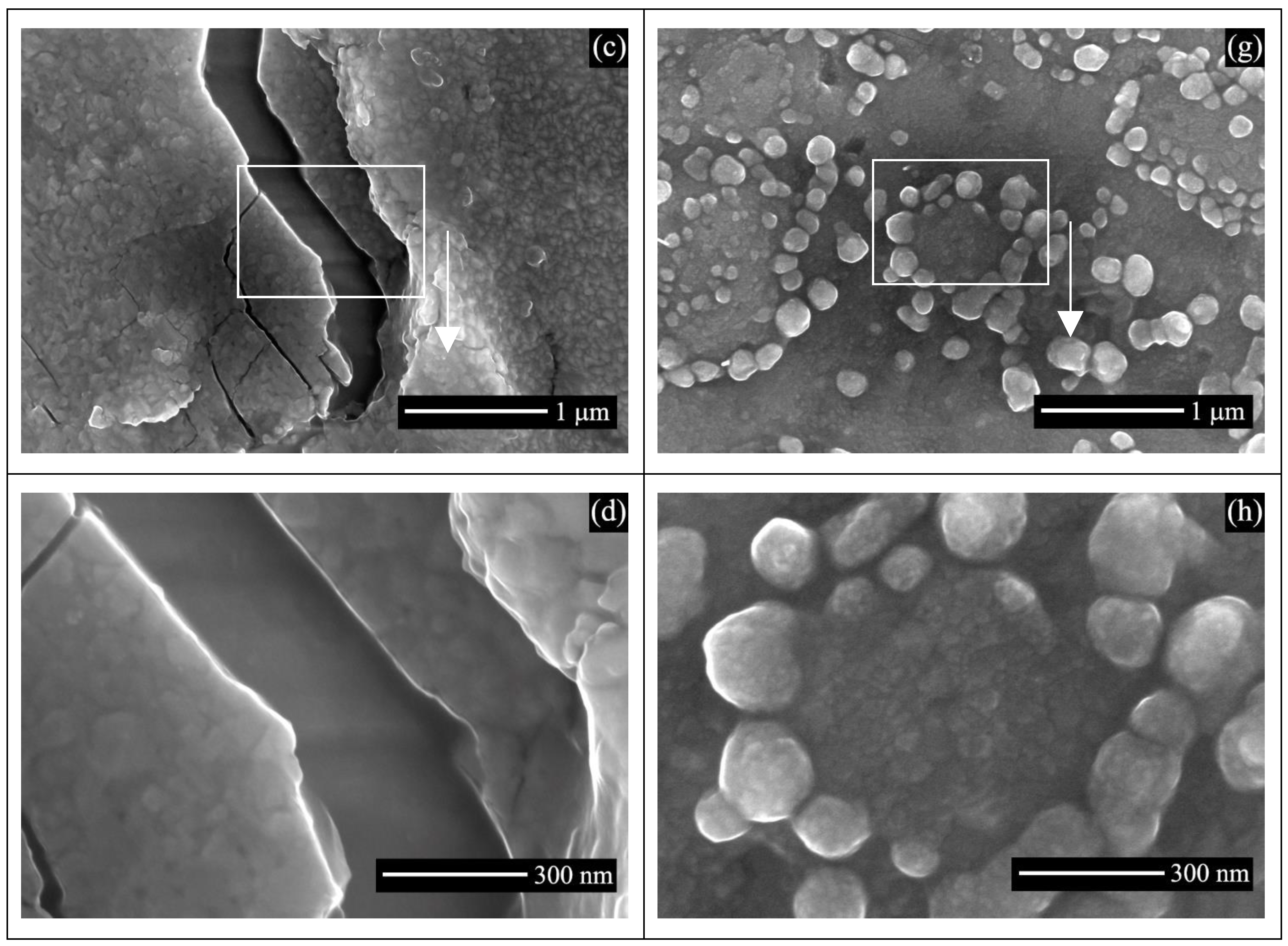 Catalysts 13 00249 g003b