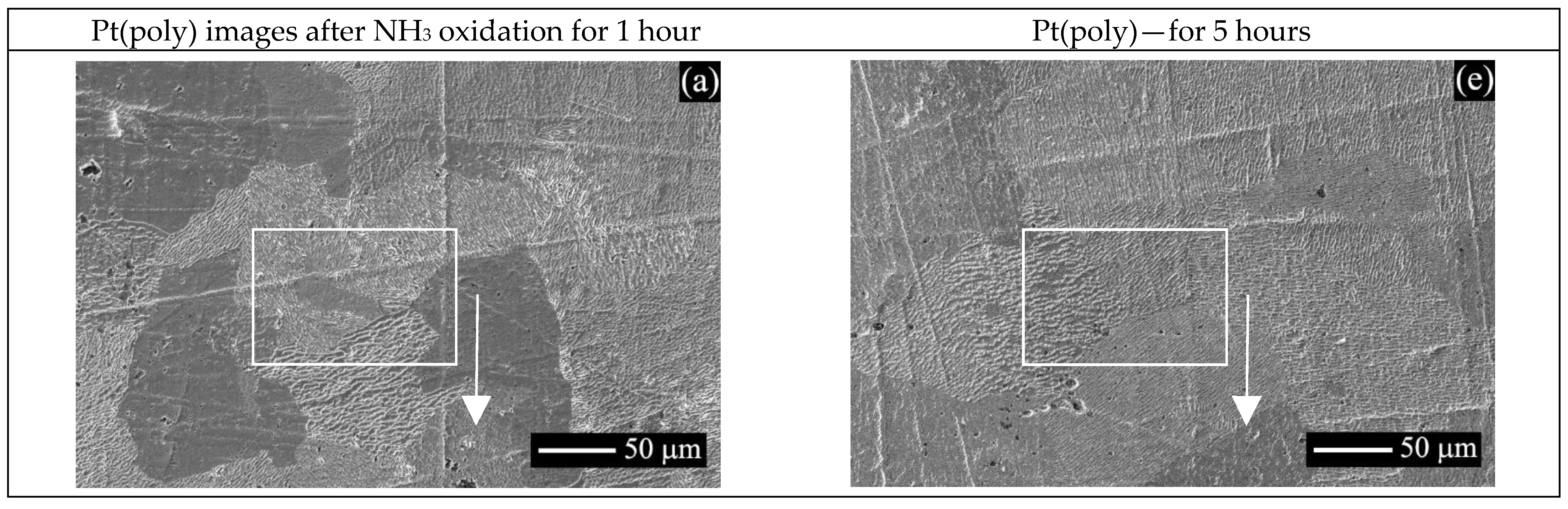 Catalysts 13 00249 g004a