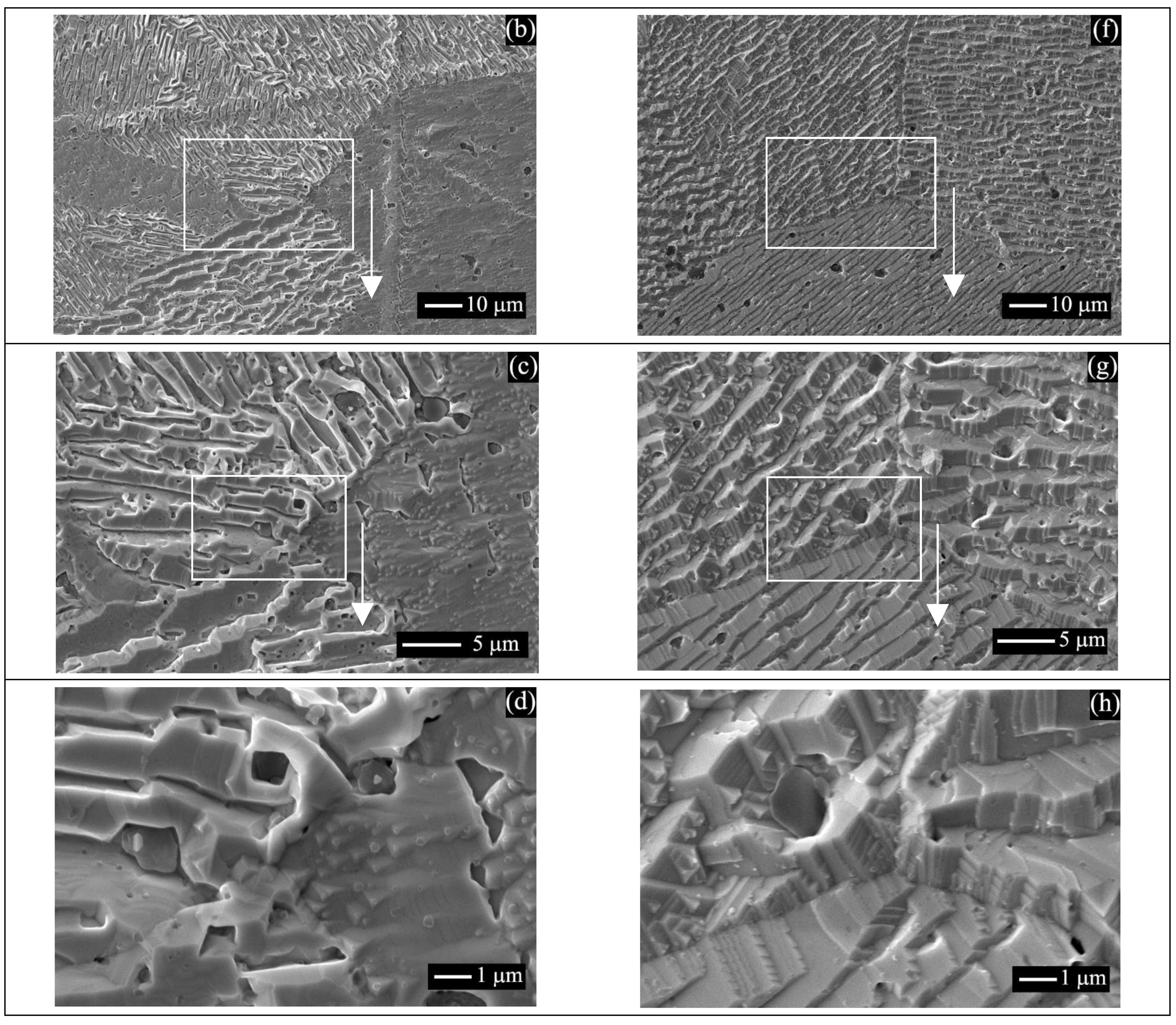 Catalysts 13 00249 g004b