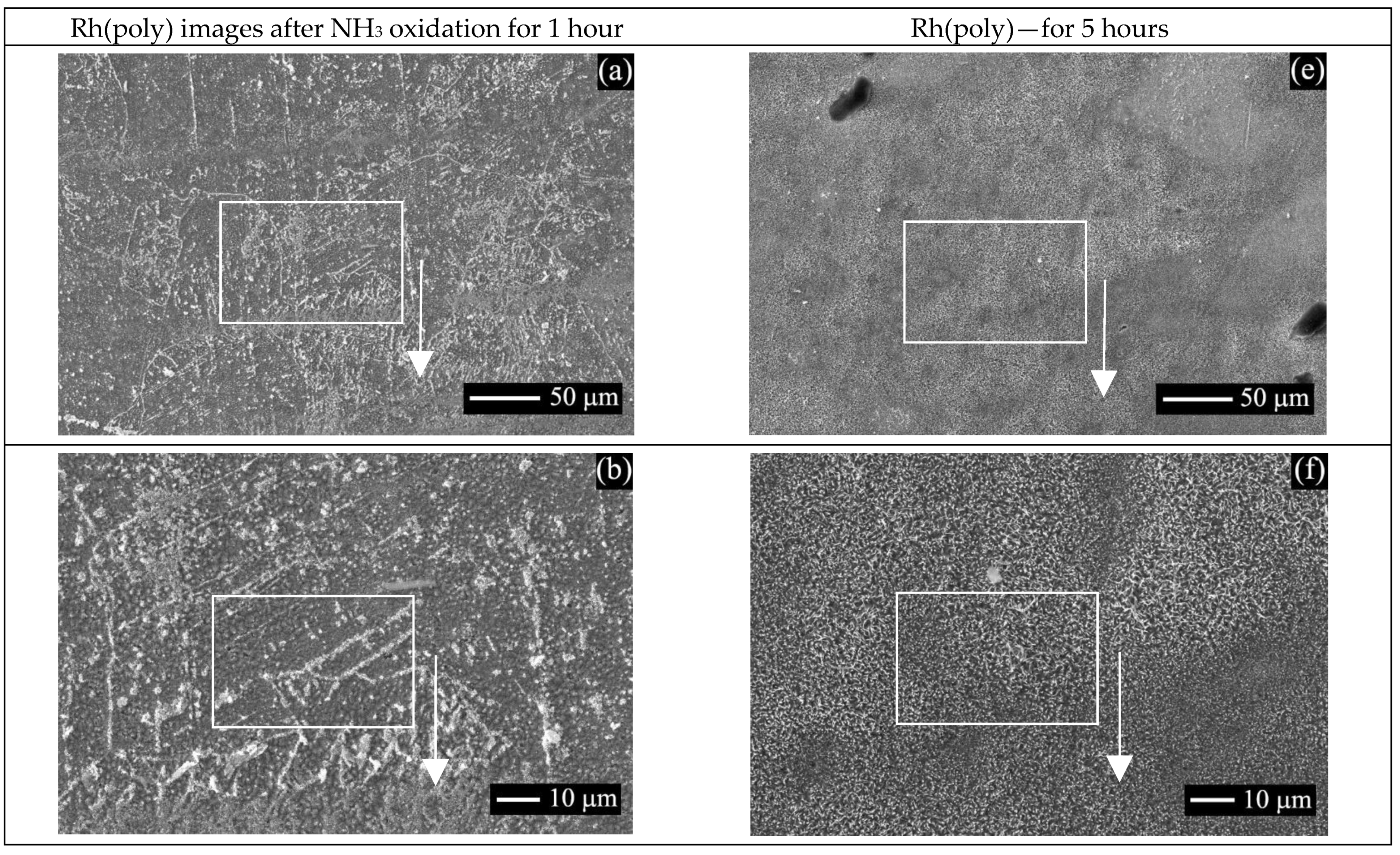 Catalysts 13 00249 g006a
