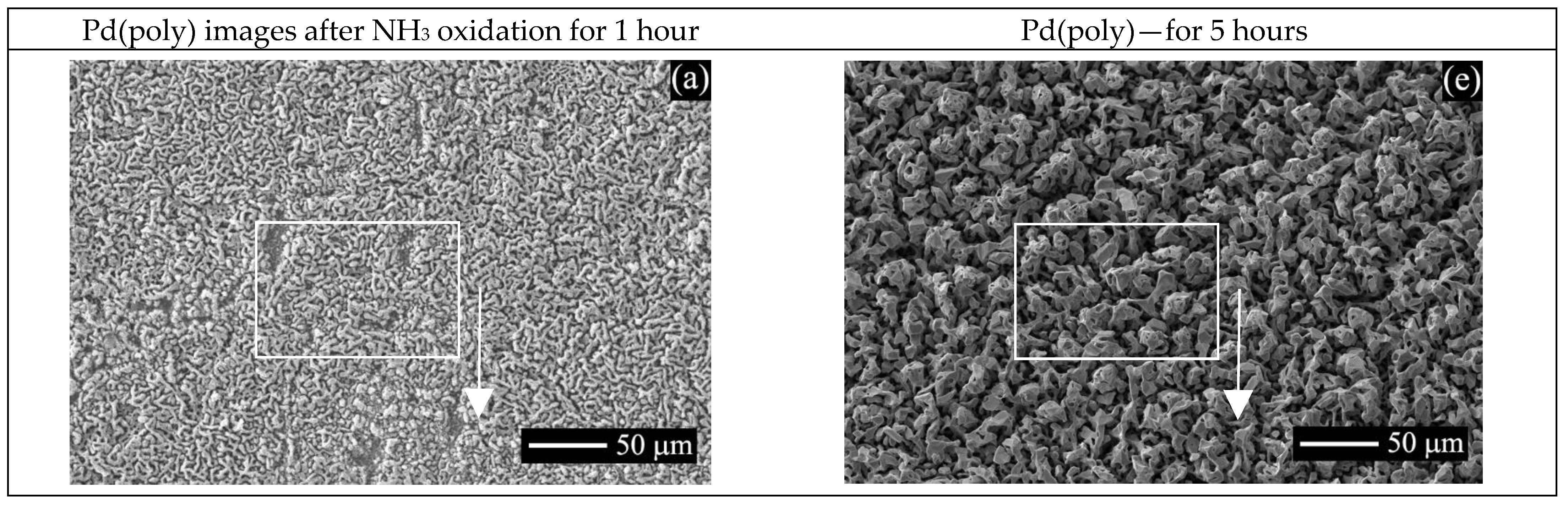 Catalysts 13 00249 g007a