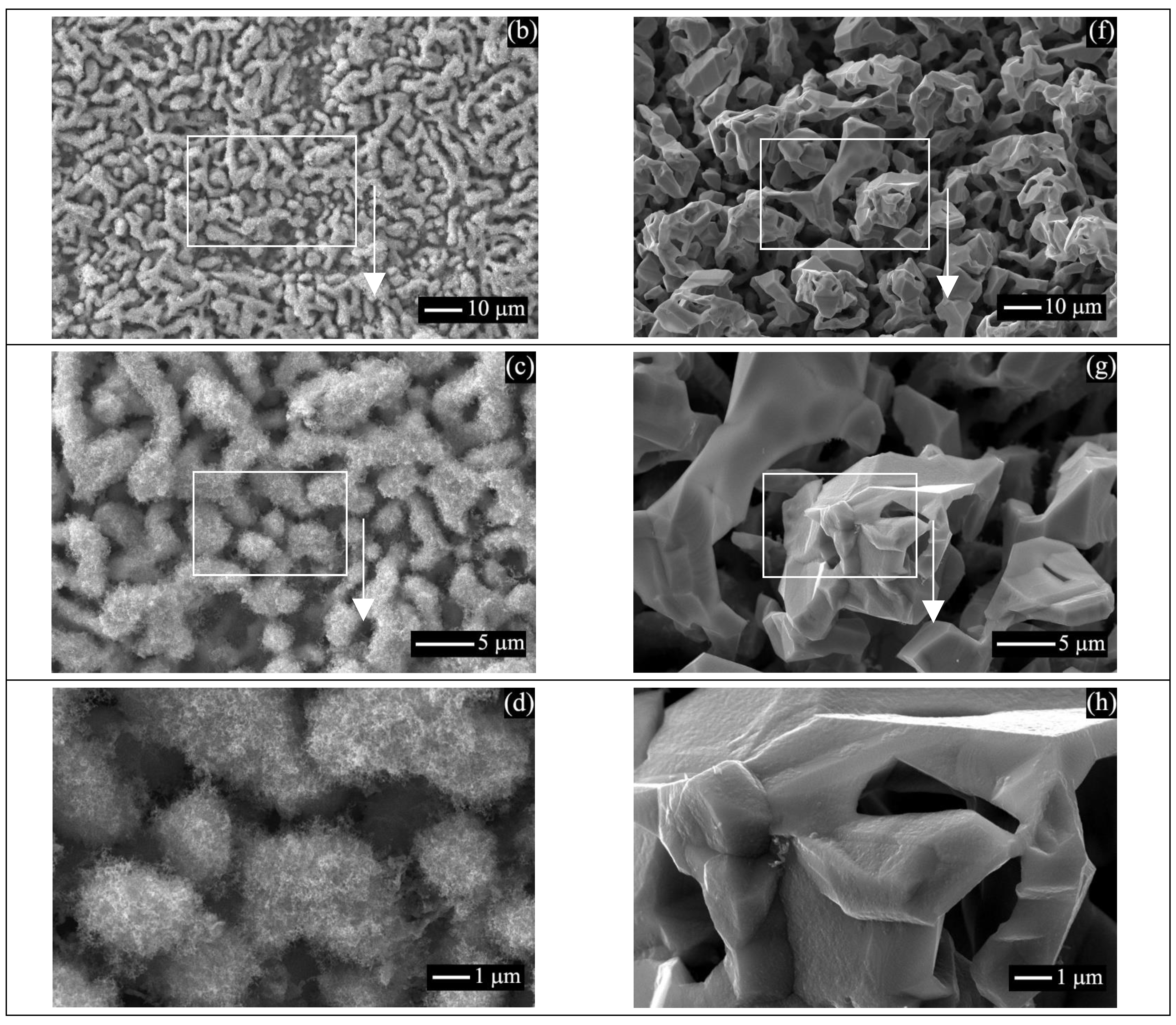 Catalysts 13 00249 g007b