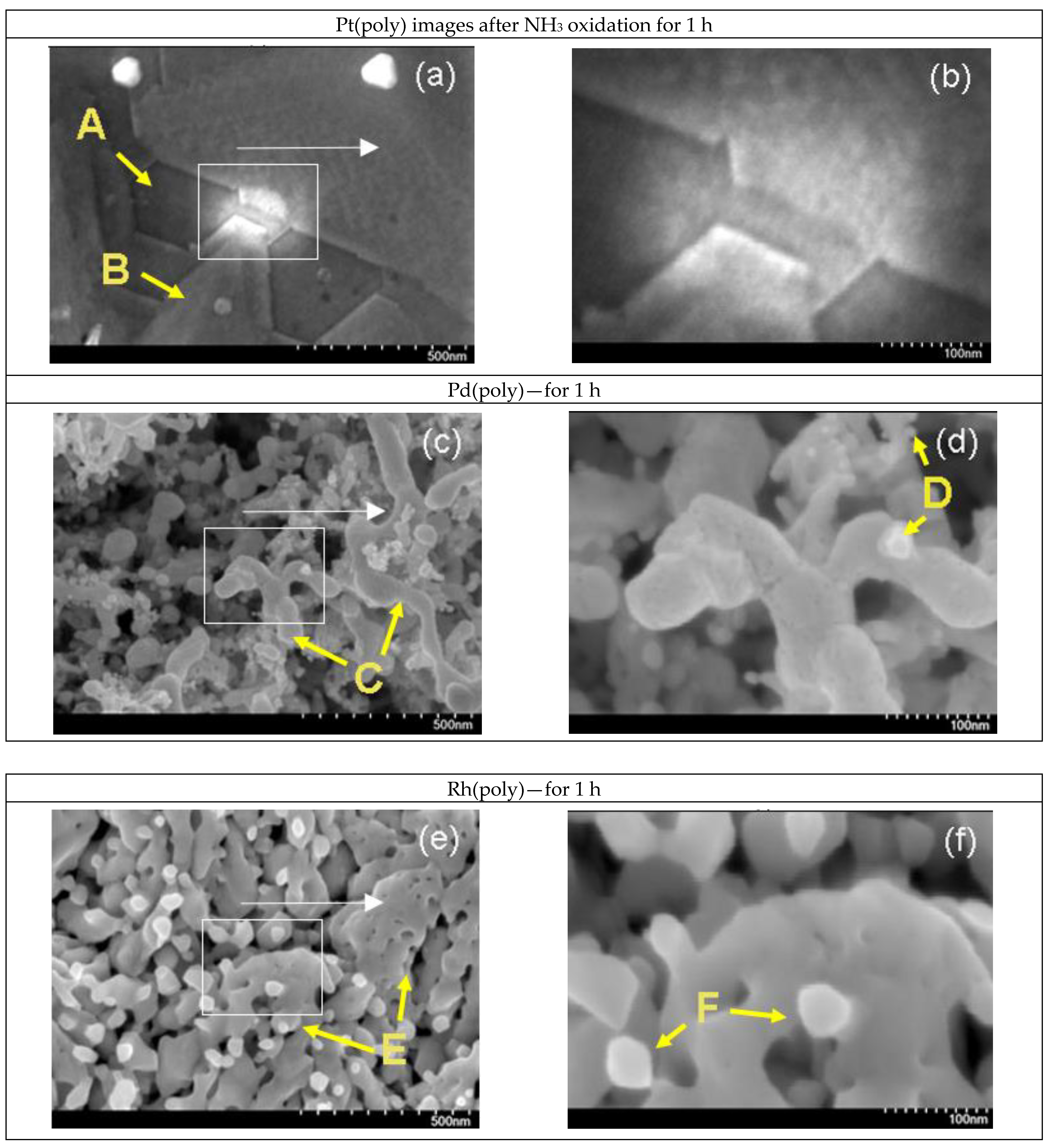 Catalysts 13 00249 g009