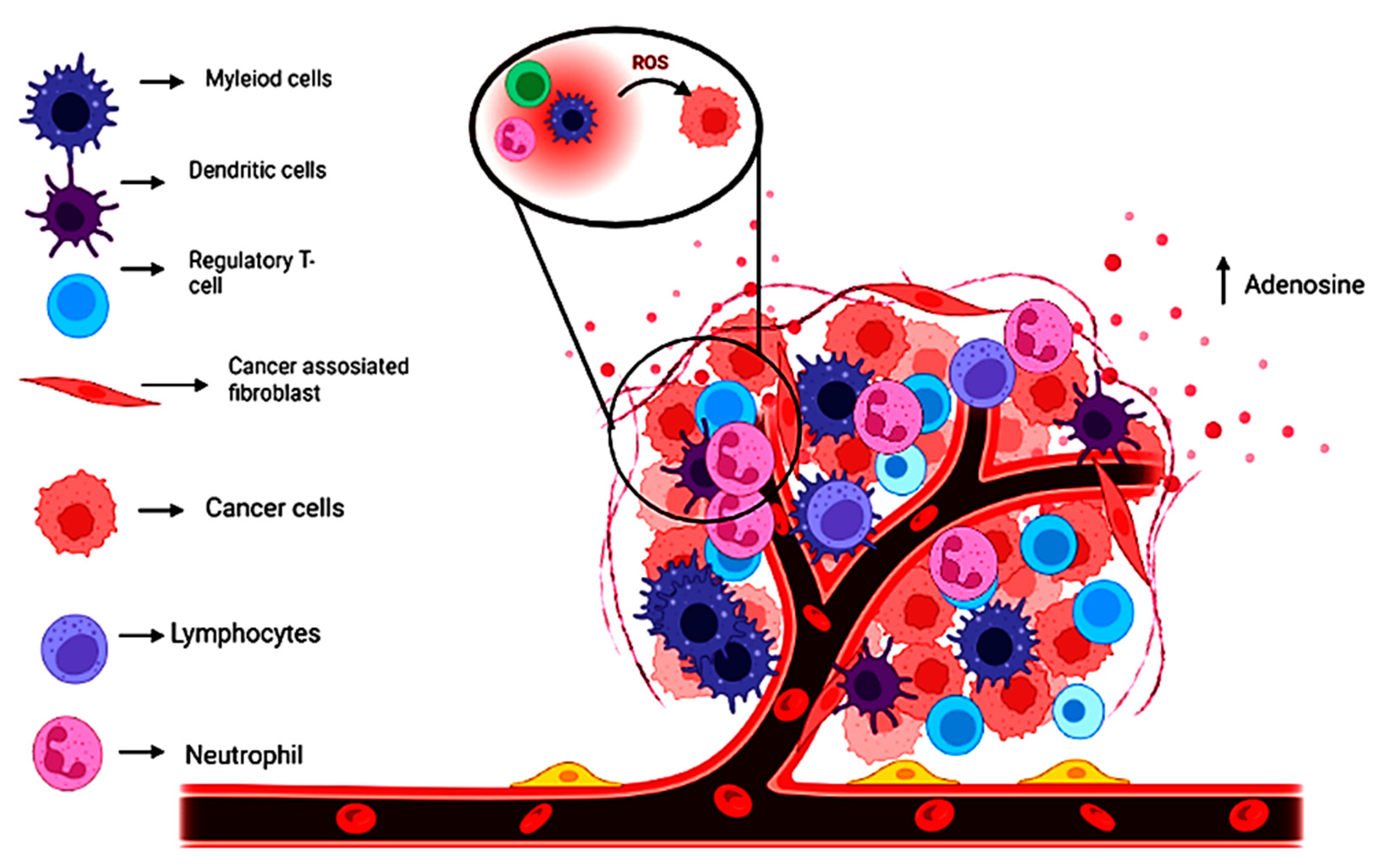 Catalysts 13 00250 g002 Catalysts 13 00250 g002