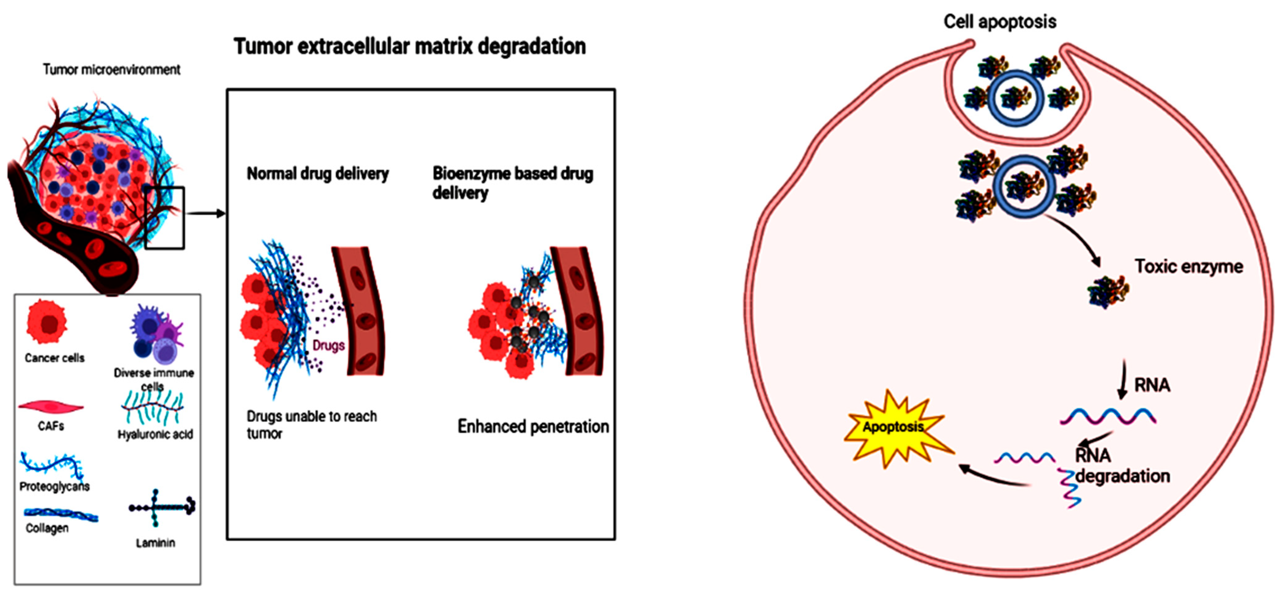 Catalysts 13 00250 g003 Catalysts 13 00250 g003