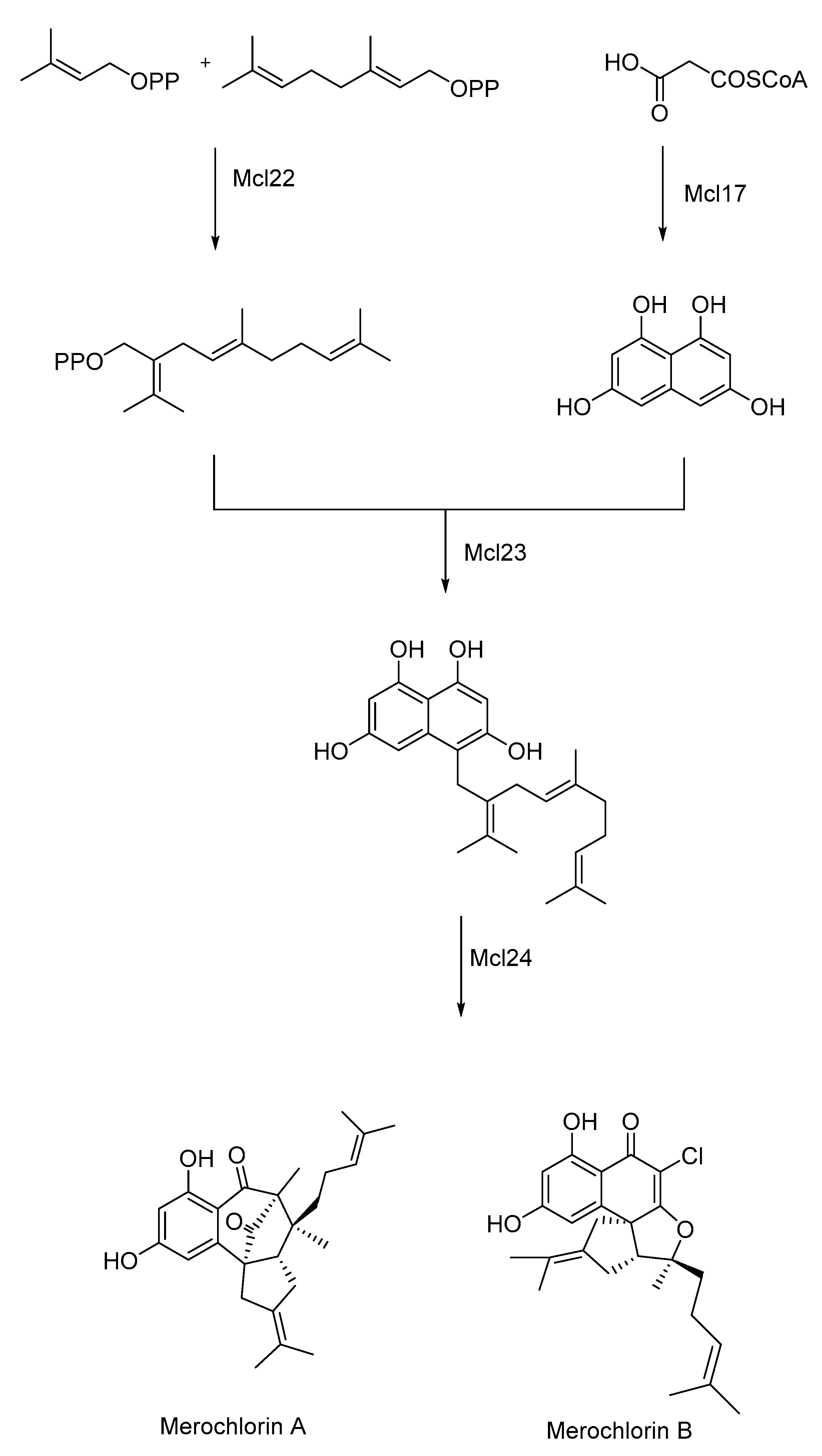 Catalysts 13 00250 sch002 Catalysts 13 00250 sch002