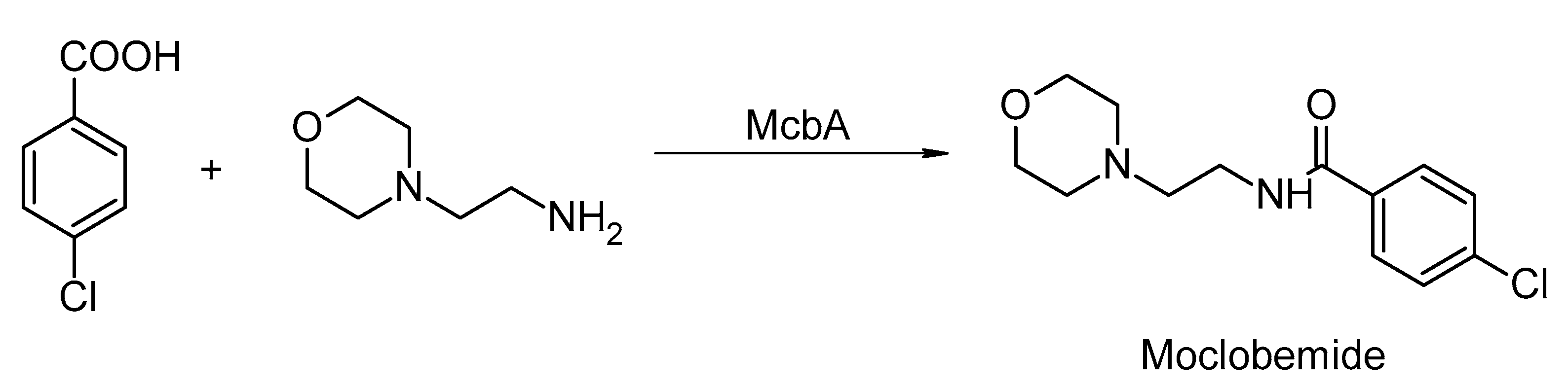 Catalysts 13 00250 sch004 Catalysts 13 00250 sch004
