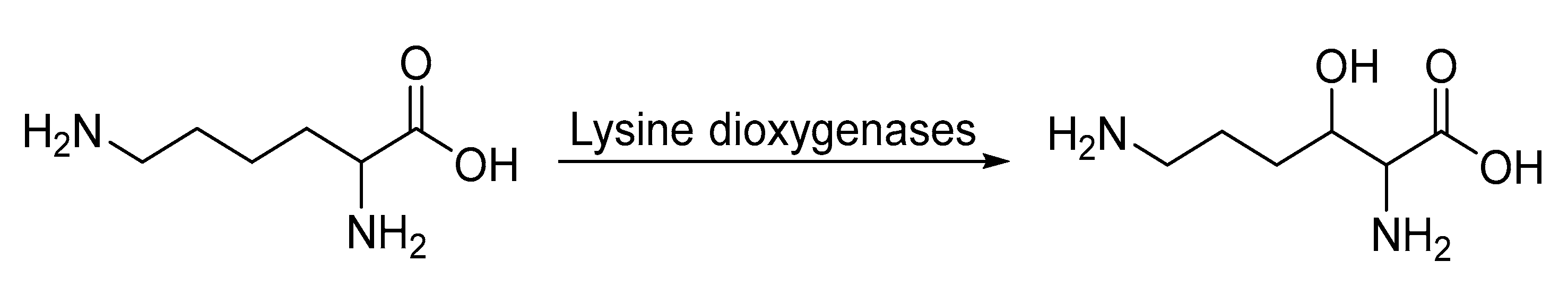 Catalysts 13 00250 sch006 Catalysts 13 00250 sch006