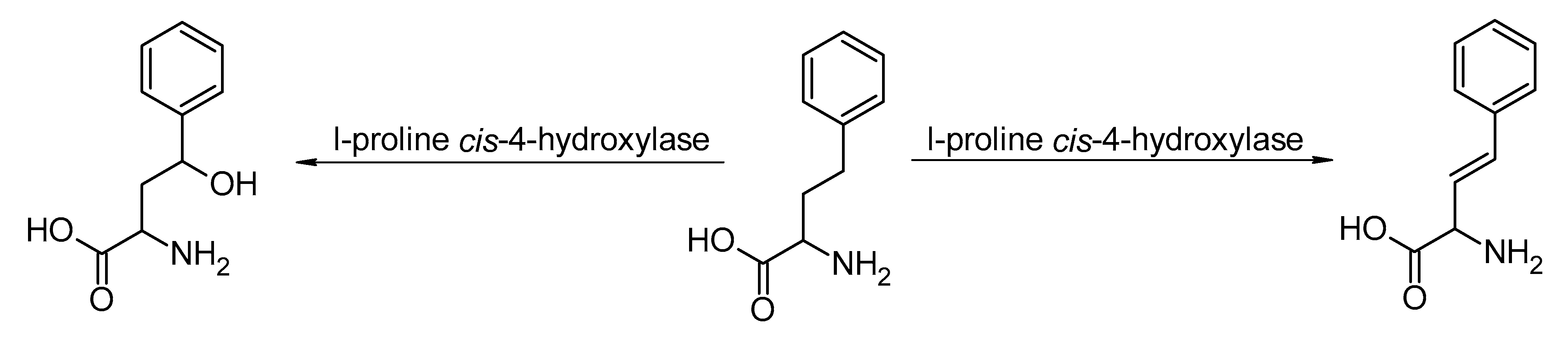 Catalysts 13 00250 sch009 Catalysts 13 00250 sch009